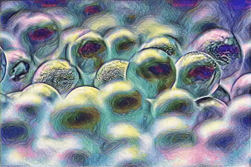 balls