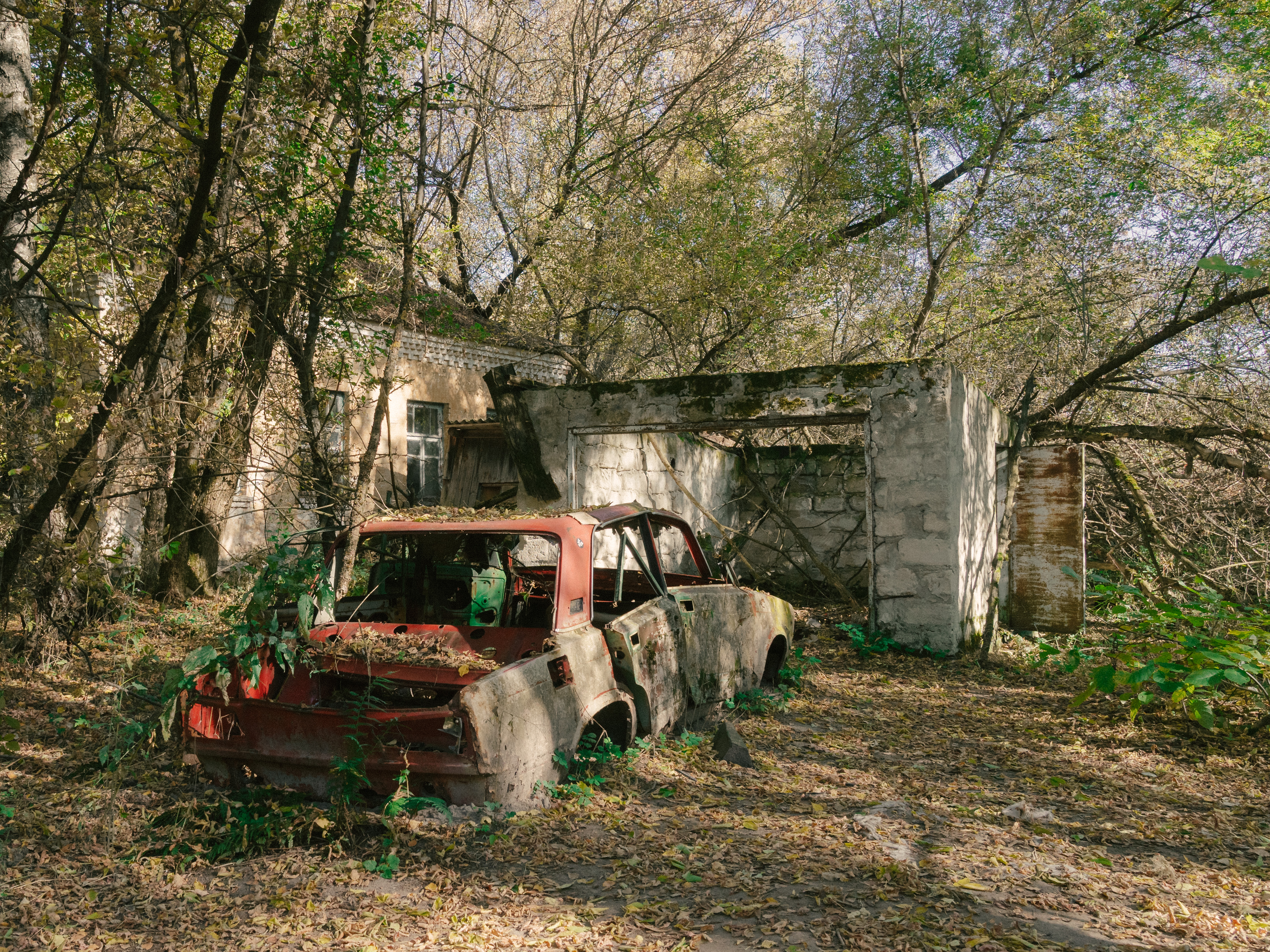 Suburbia 