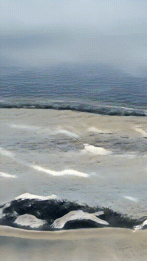 California Consciousness