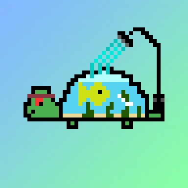 Qwerty Turtles #4123