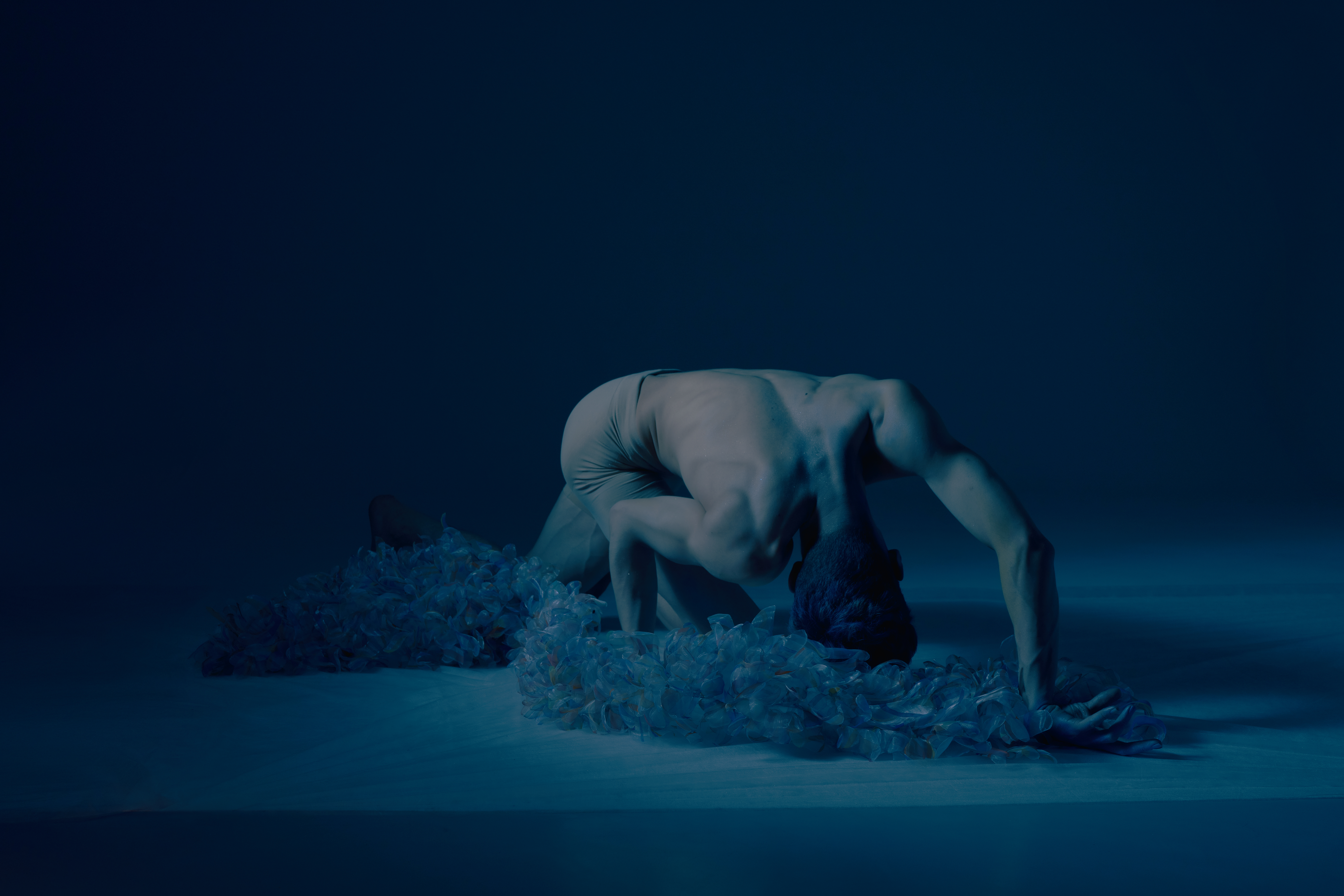 A thousand insect wings in my joints