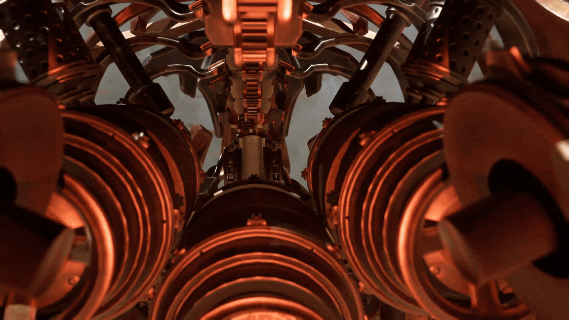 The Bear Necessities