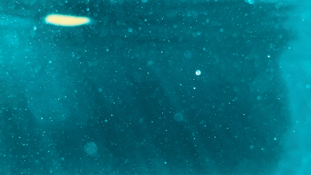 Summer's Over Official Video Zorb 11