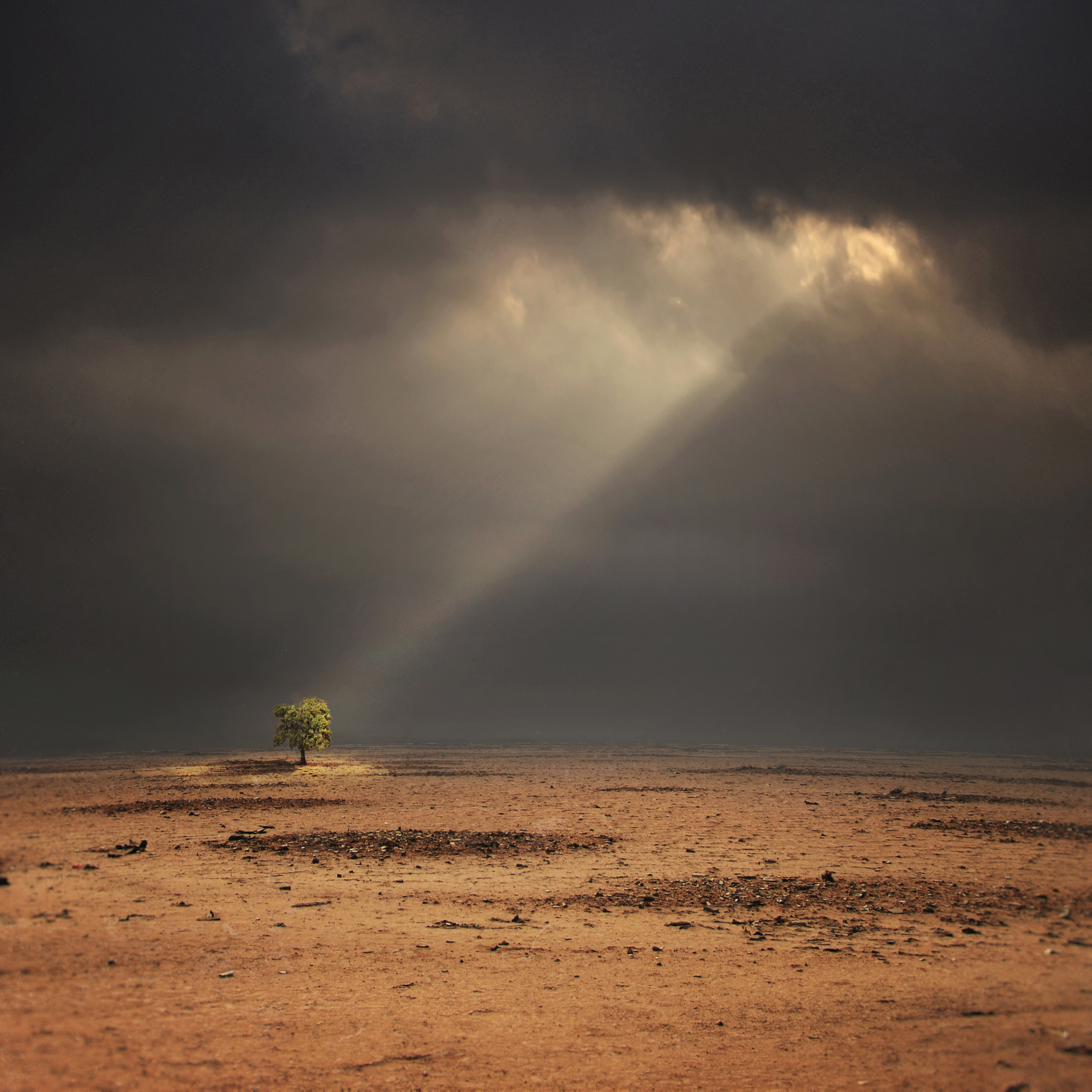 Hope
