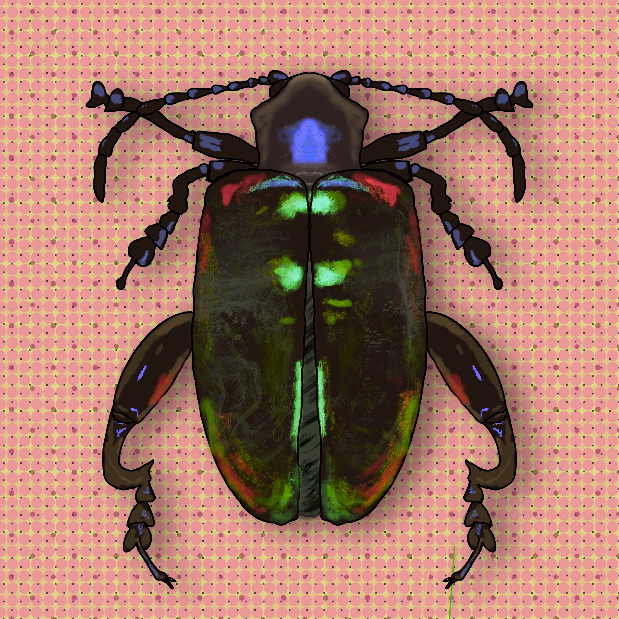 Meet the Beetles #000