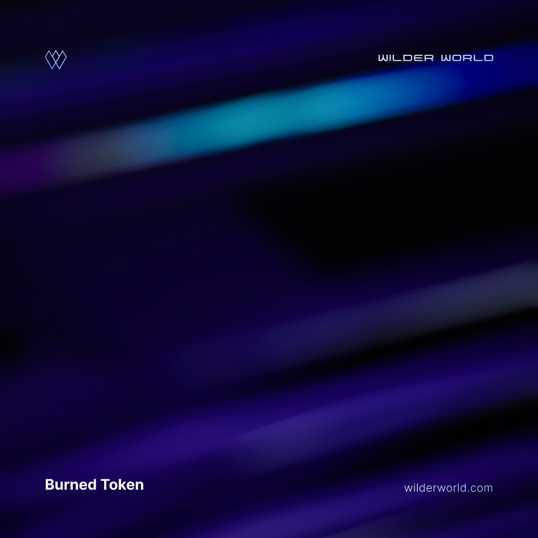 Burned Token