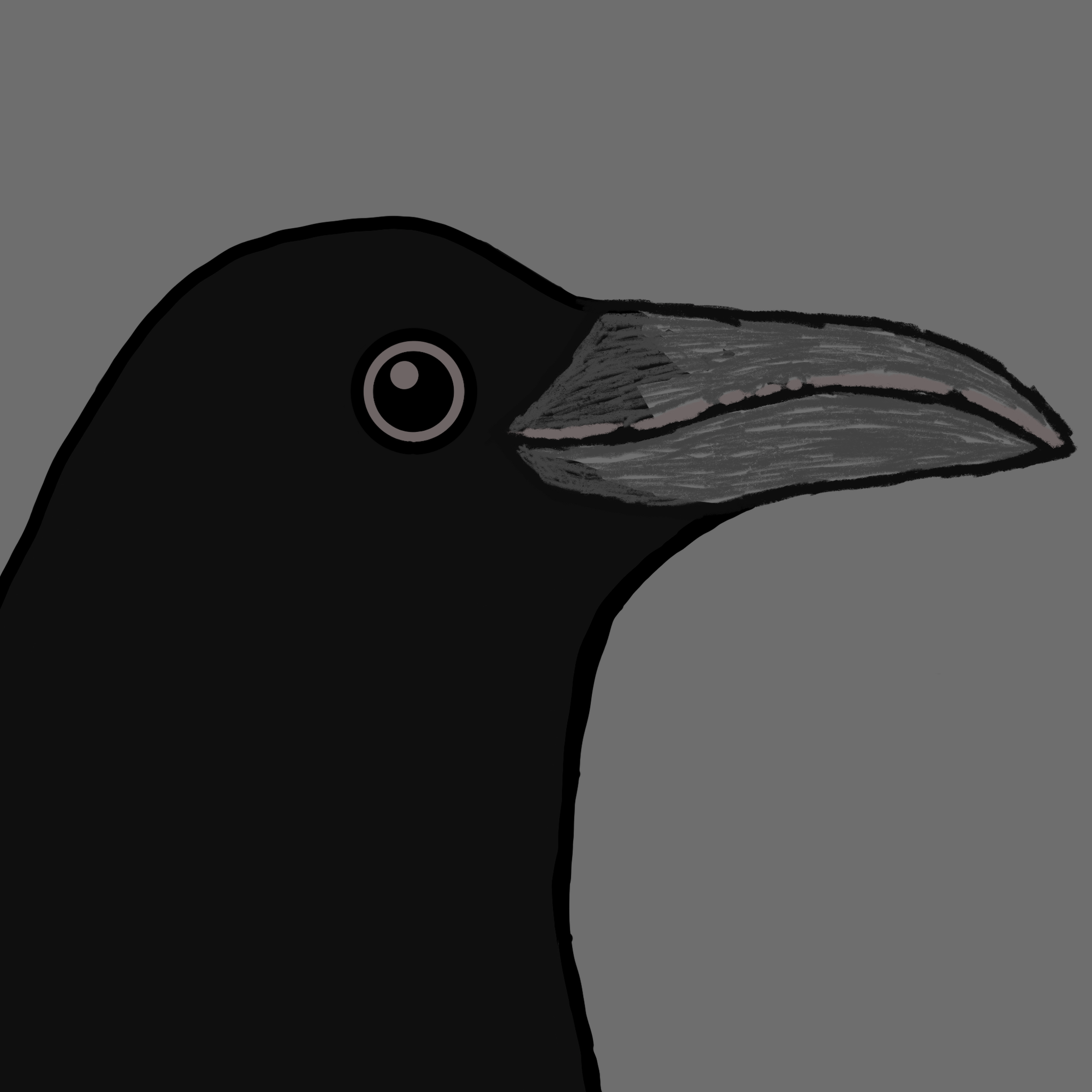 Crow Friends #398
