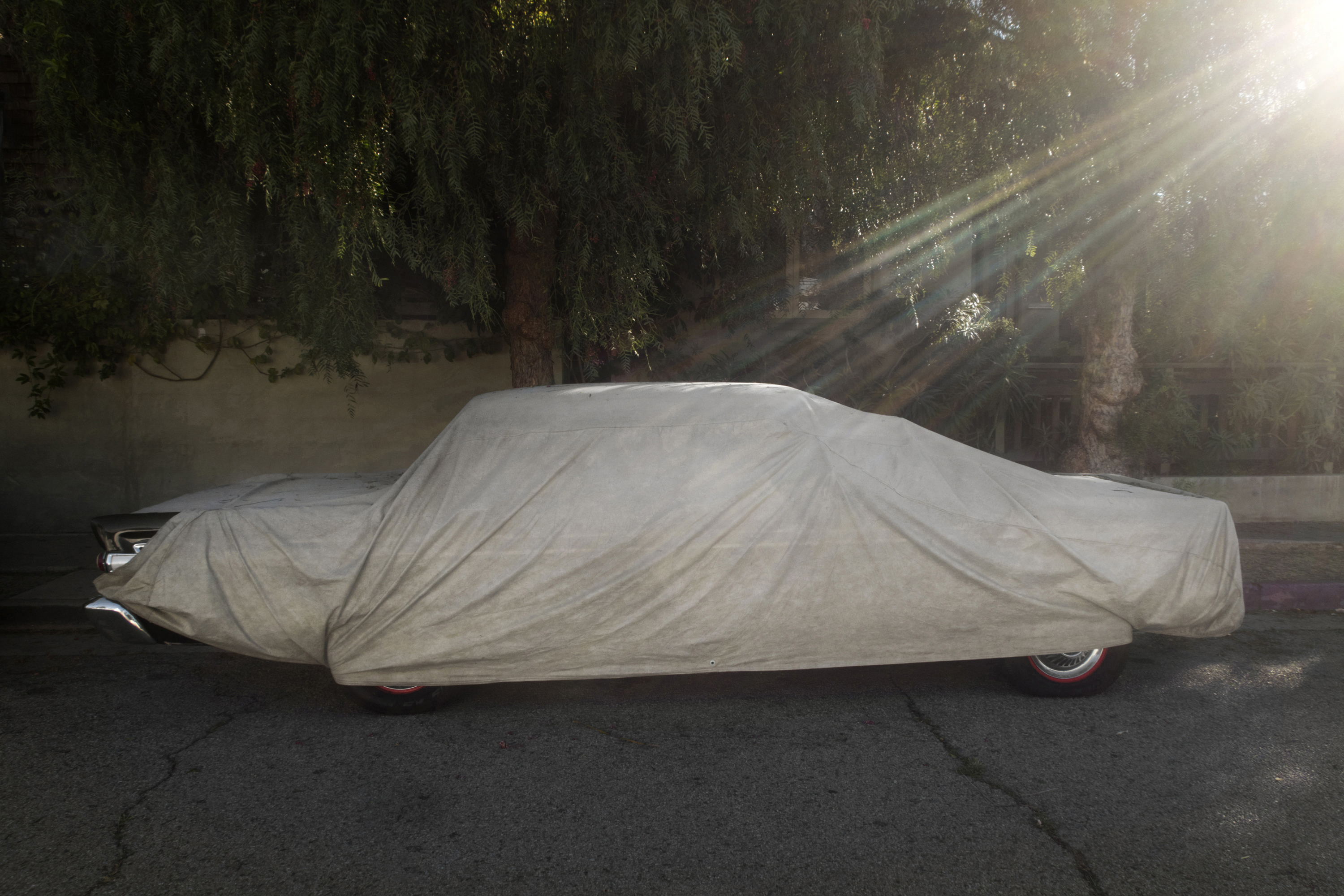 CVRD #16 by Karin Apollonia Müller