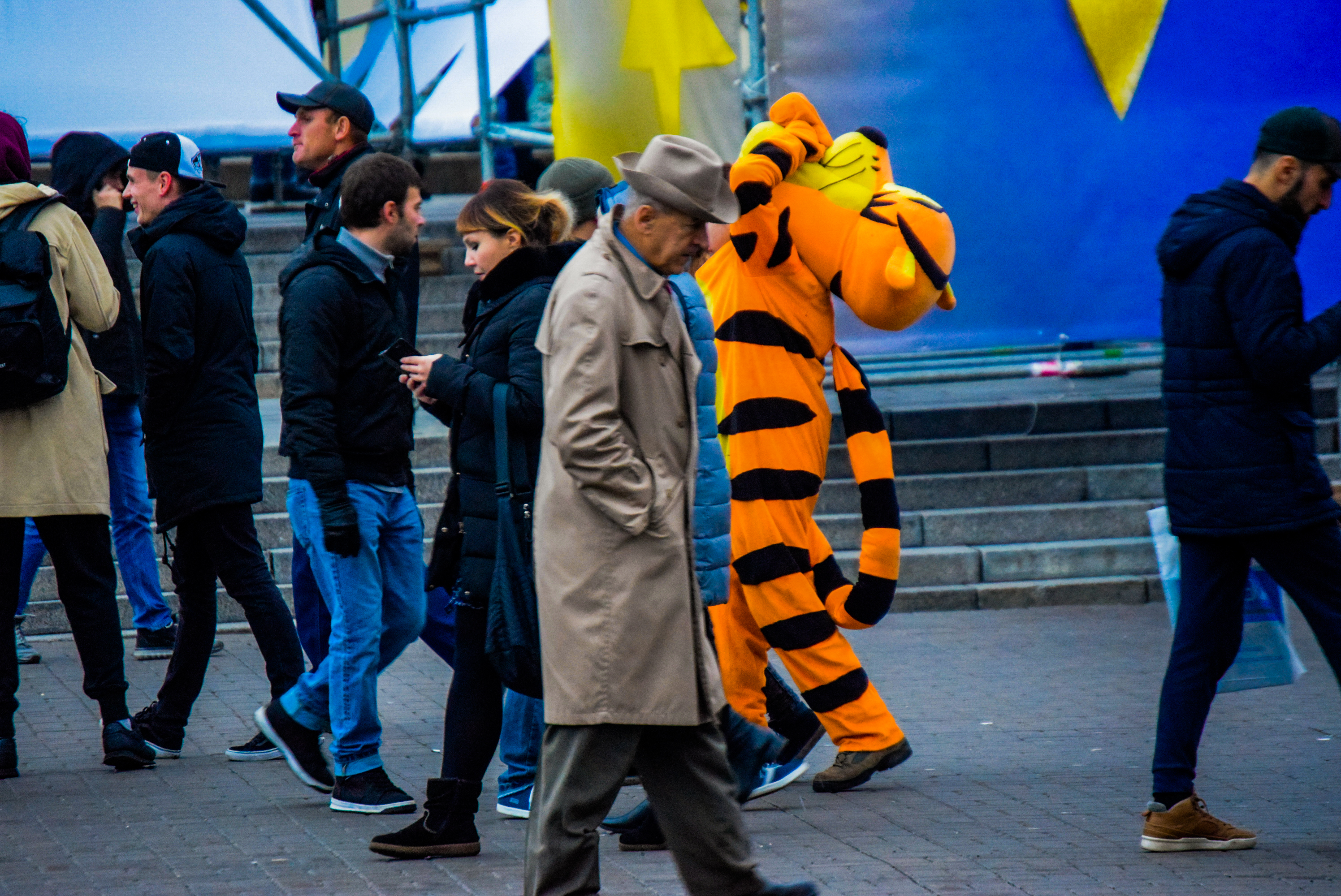 Spotted a tiger in Kyiv