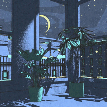 Snow in the Middle of the Night