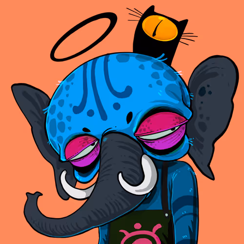 kookkoo075