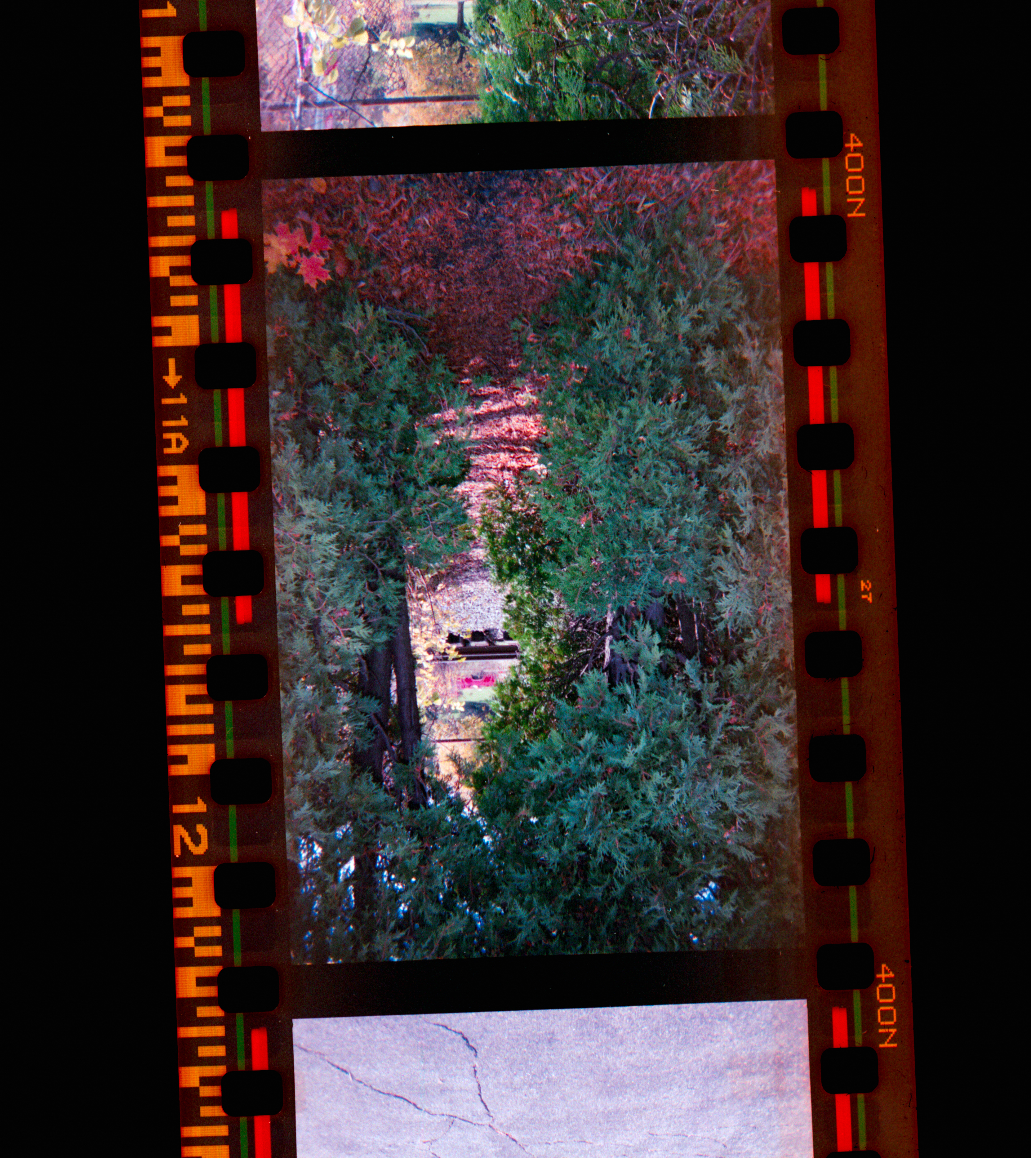 Kodachrome #1493