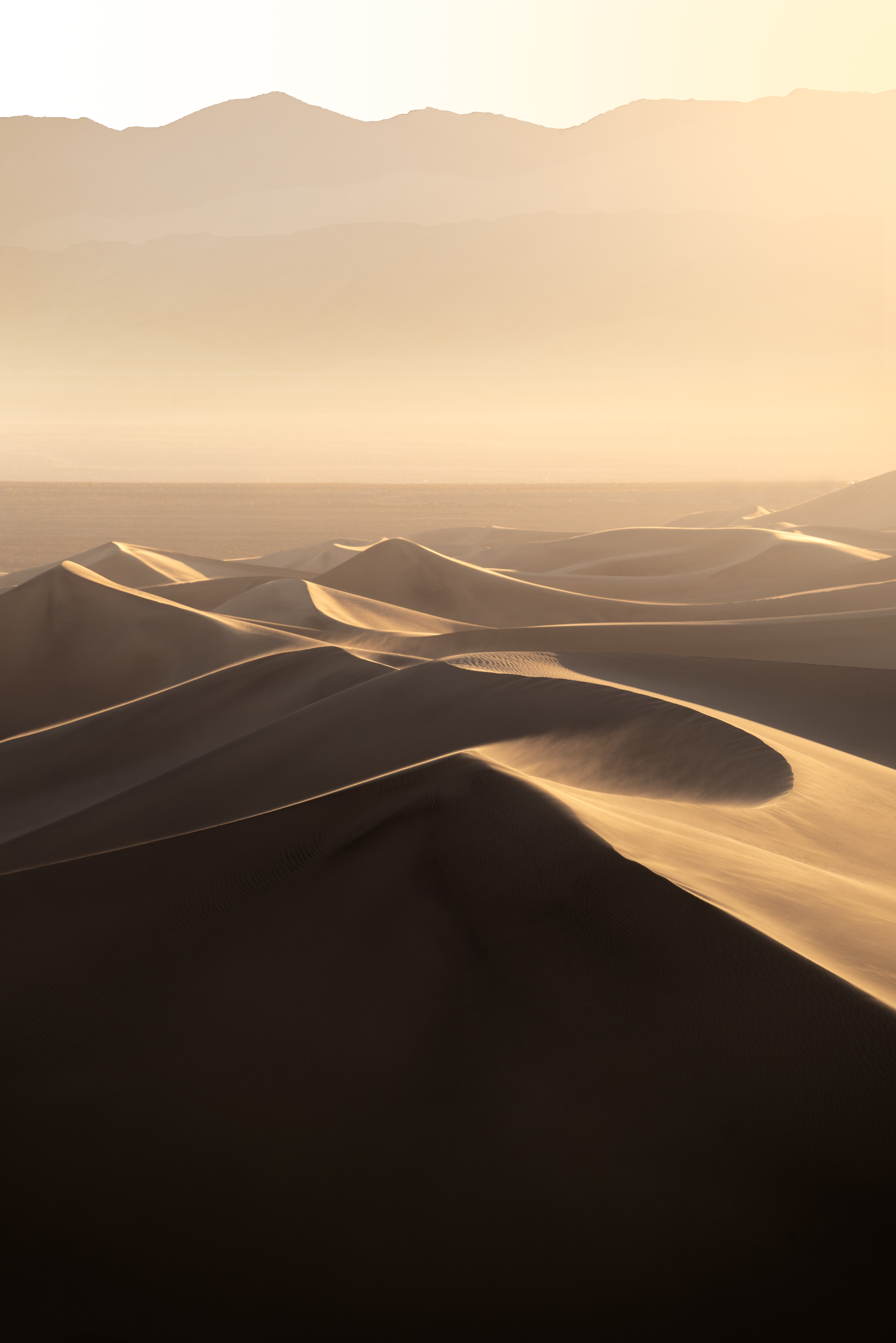 Dunes are a Vibe | FIFM #42/222