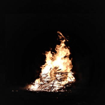 thecryptobeasty.linea.eth Linea Name Service (.linea.eth domains) based on ENS PFP