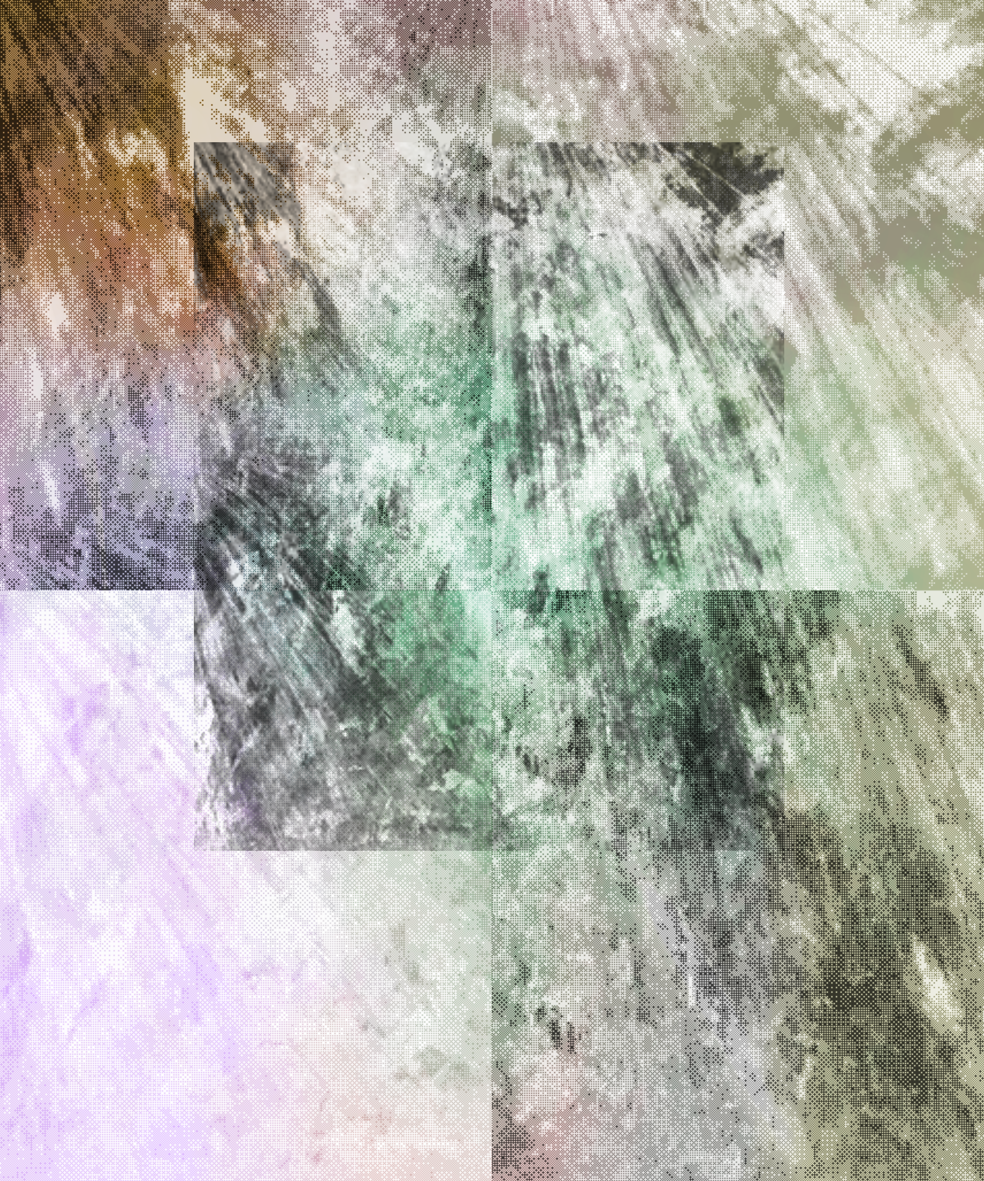 the spring begins with the first rainstorm #4