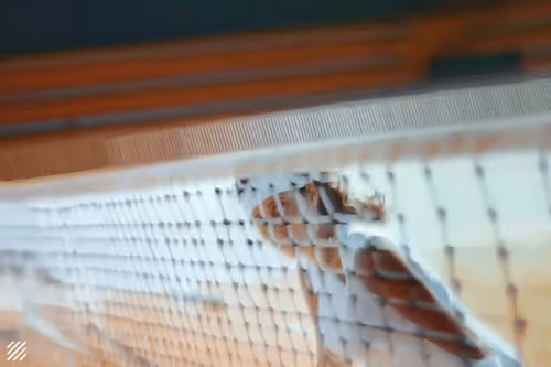 Nadal by hardleydavidson