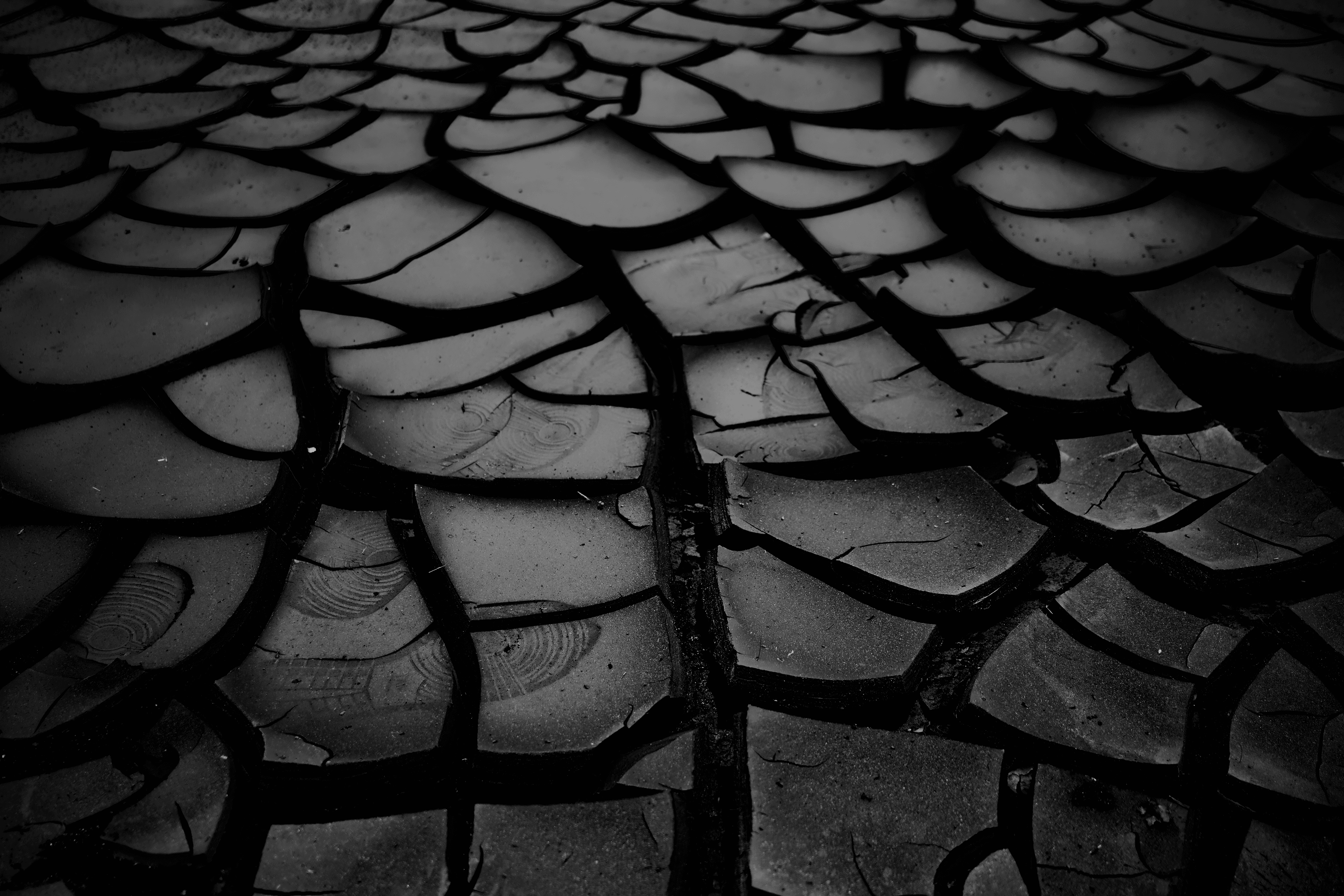 Strongest #1 - Dry Land