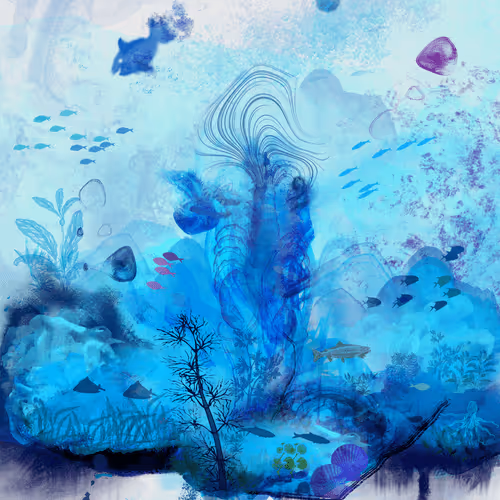 VUW #6 - Oceanic