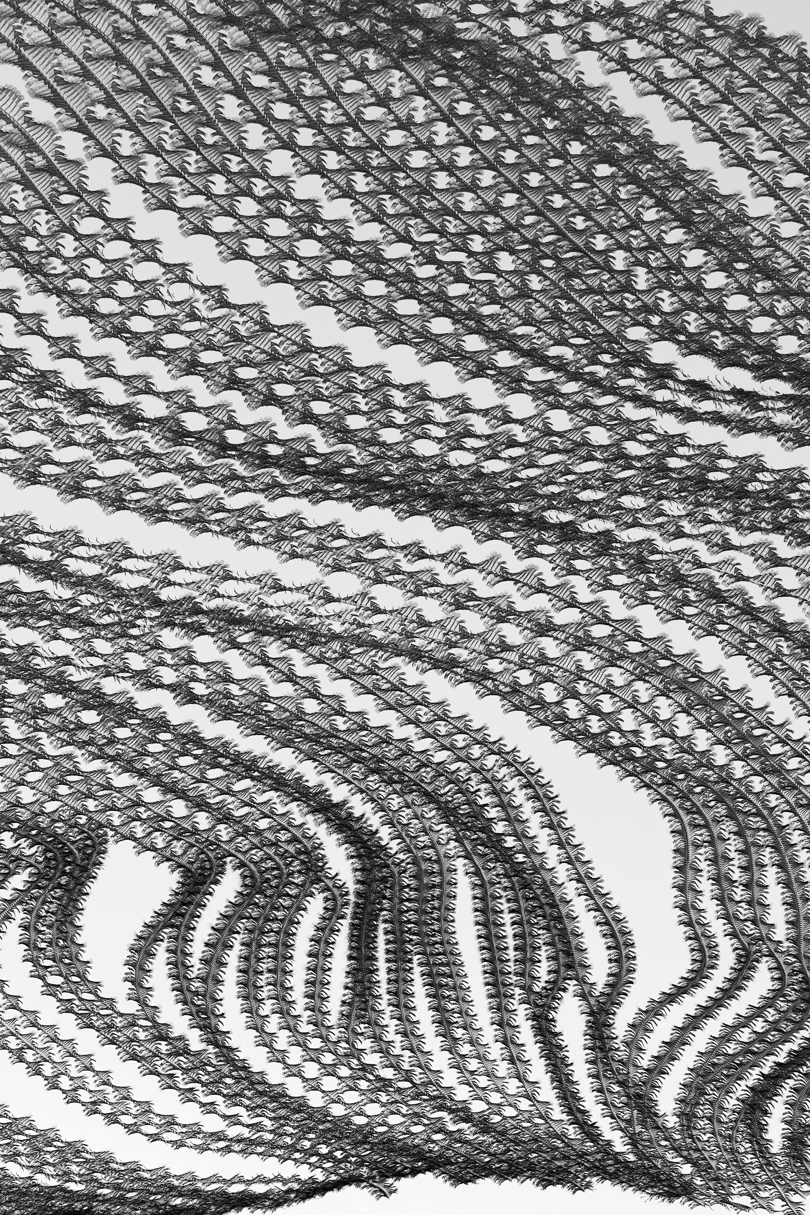 Ornithography #233