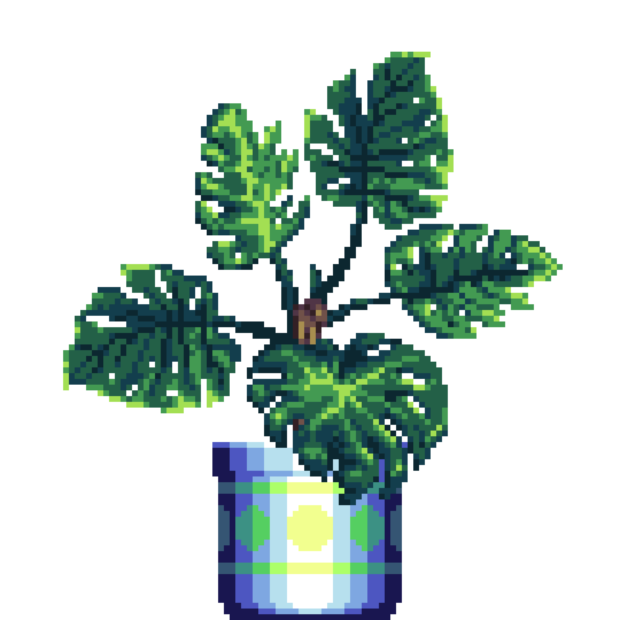 Monstera in Large Pattern pot