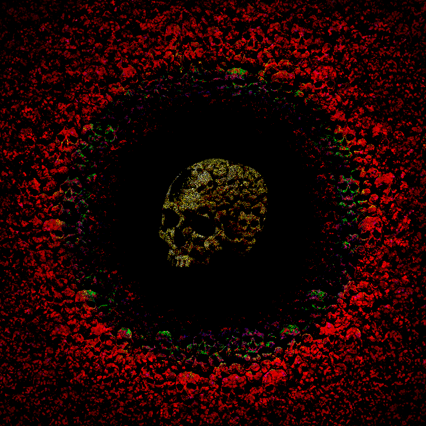 i promise i can change