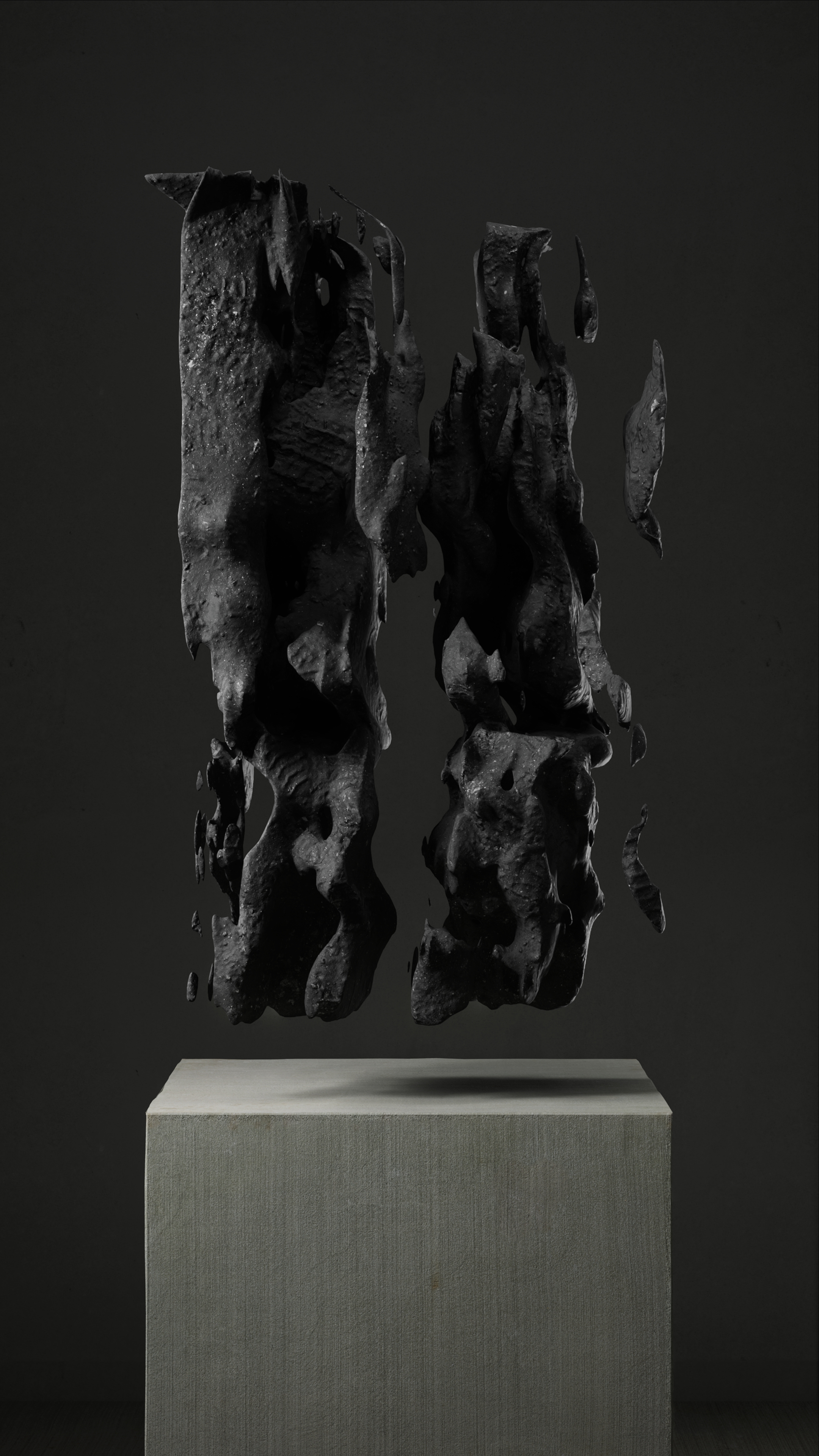 ULTRASOUND DATA SCULPTURES #1