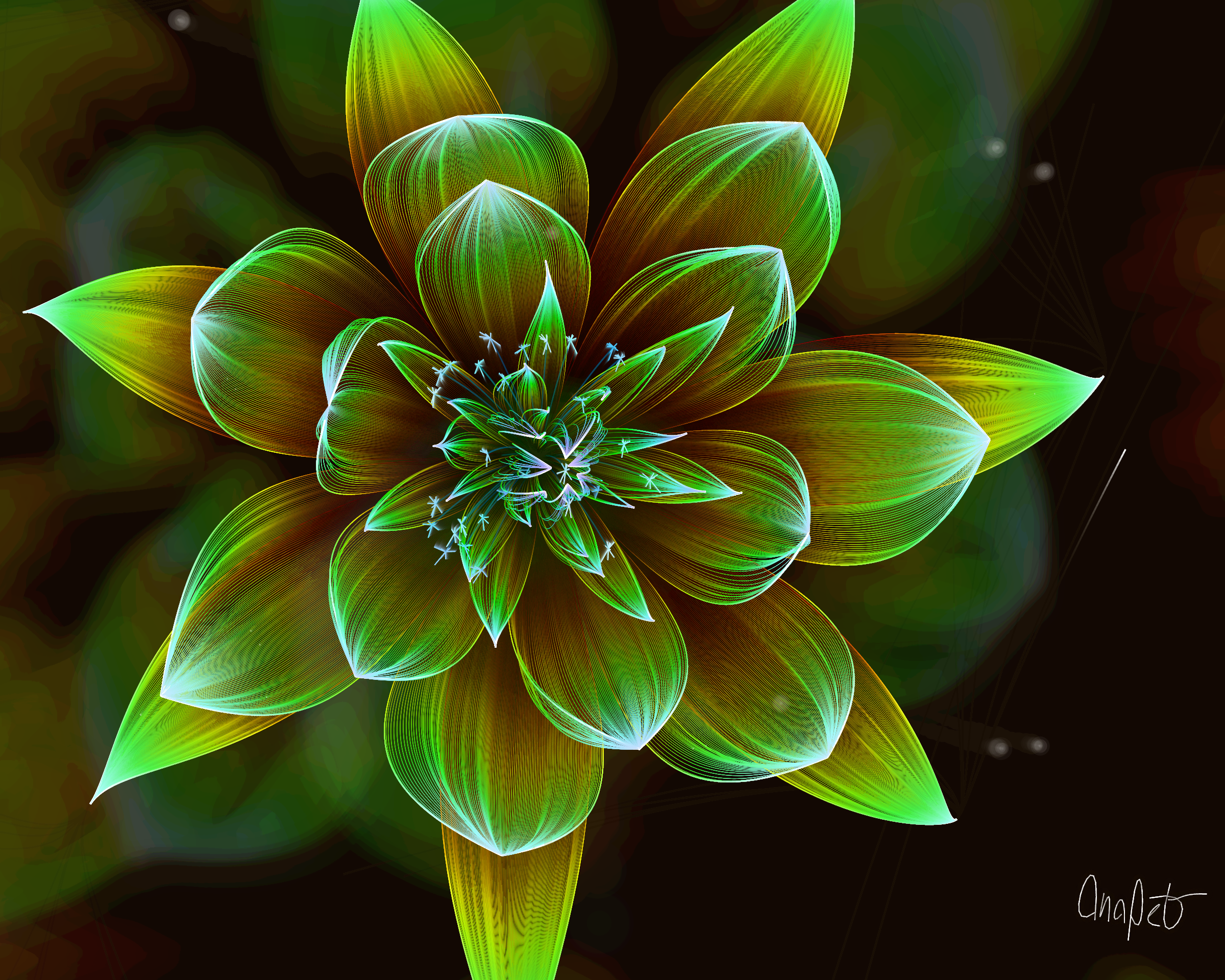 Fleur #243