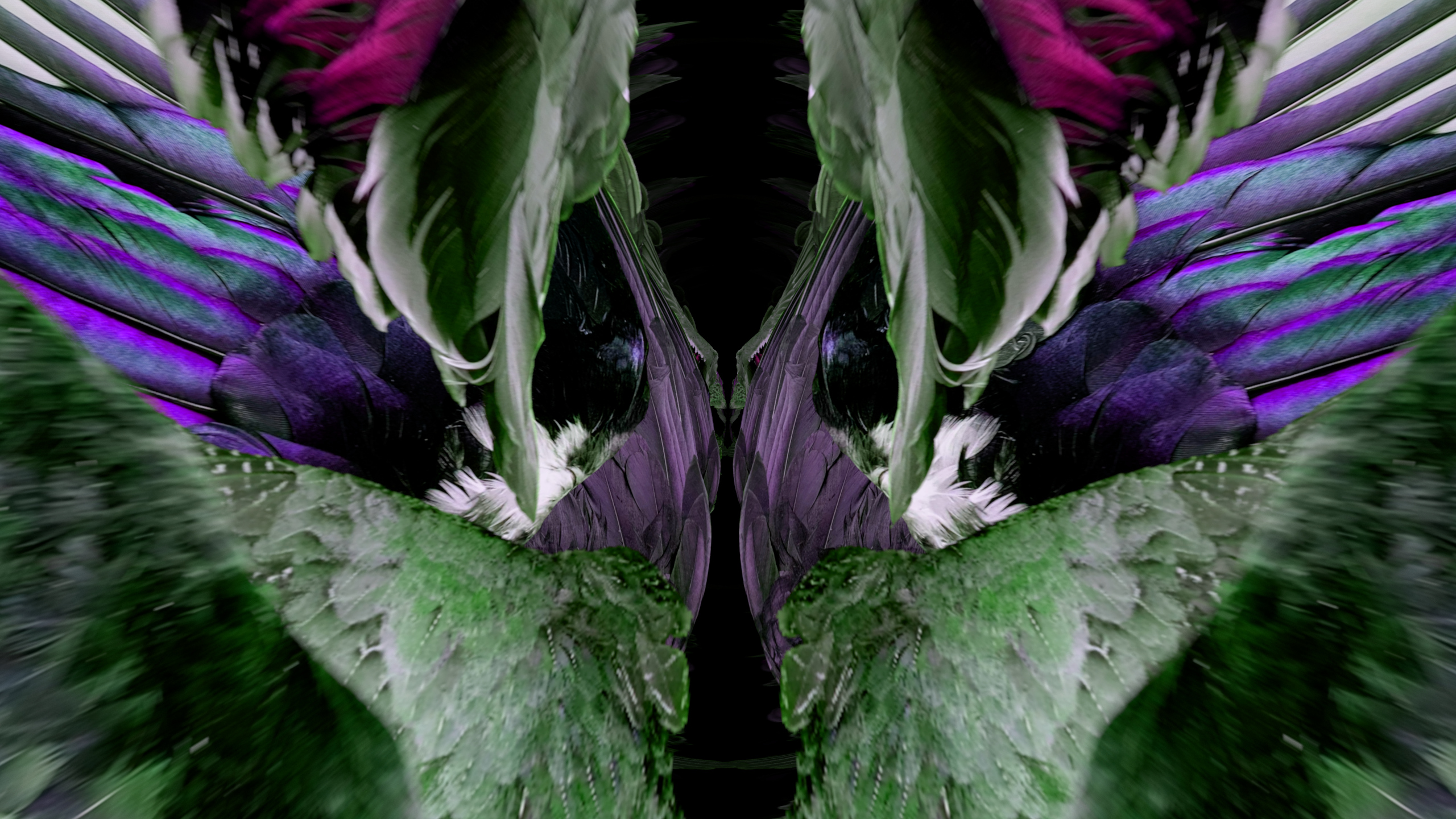 Fuga delle Sirene LXXI