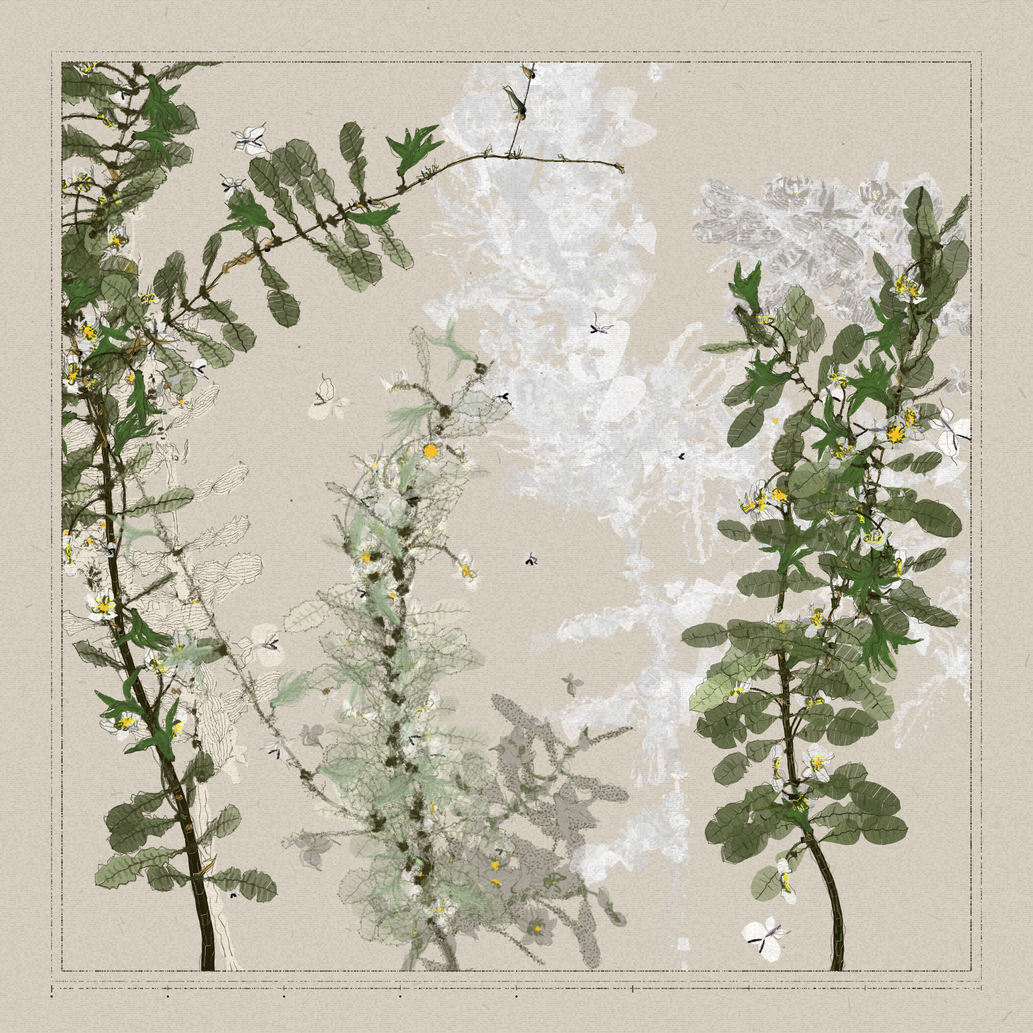 Polypaths | 植徑集 #336