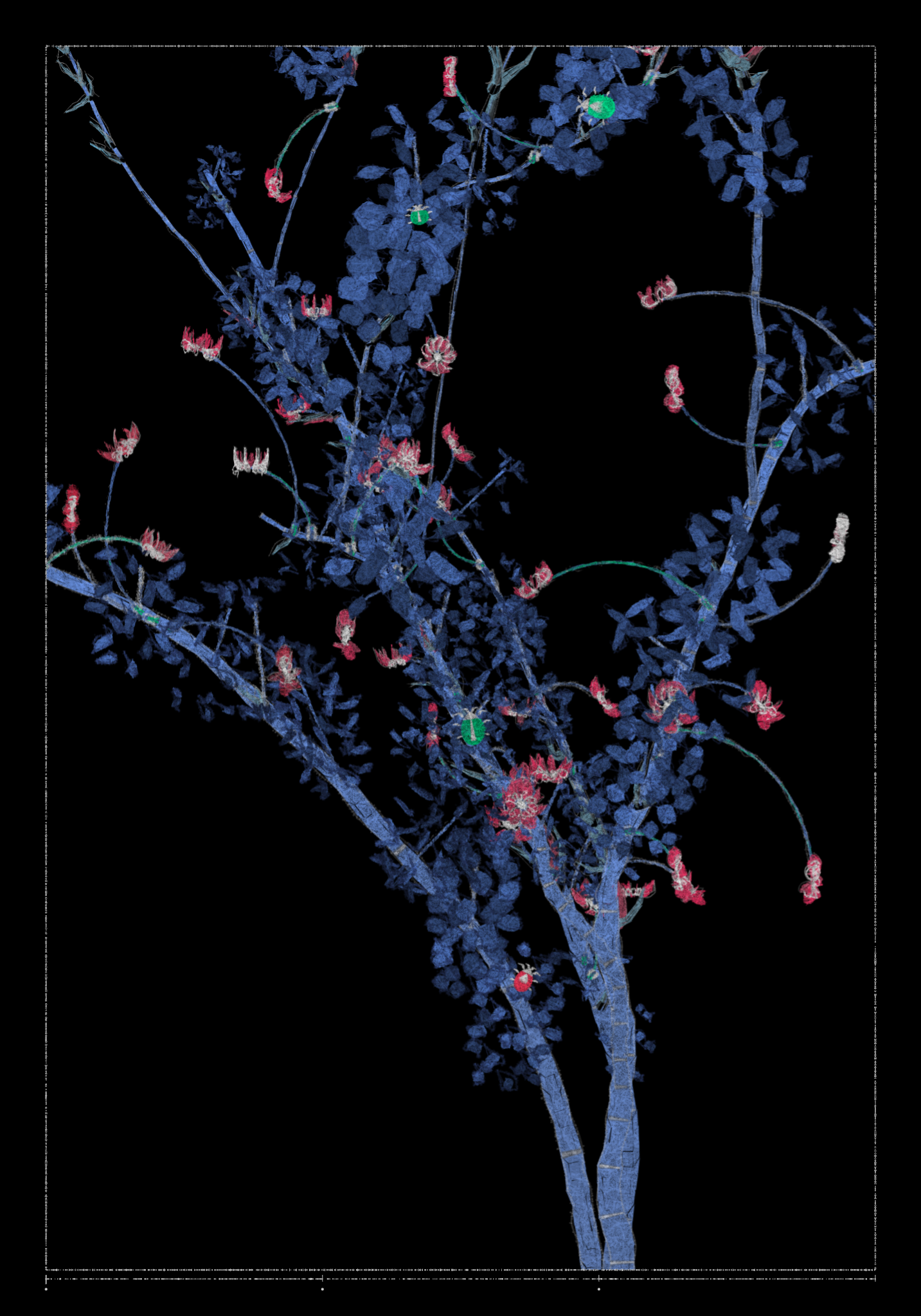 Polypaths | 植徑集 #544