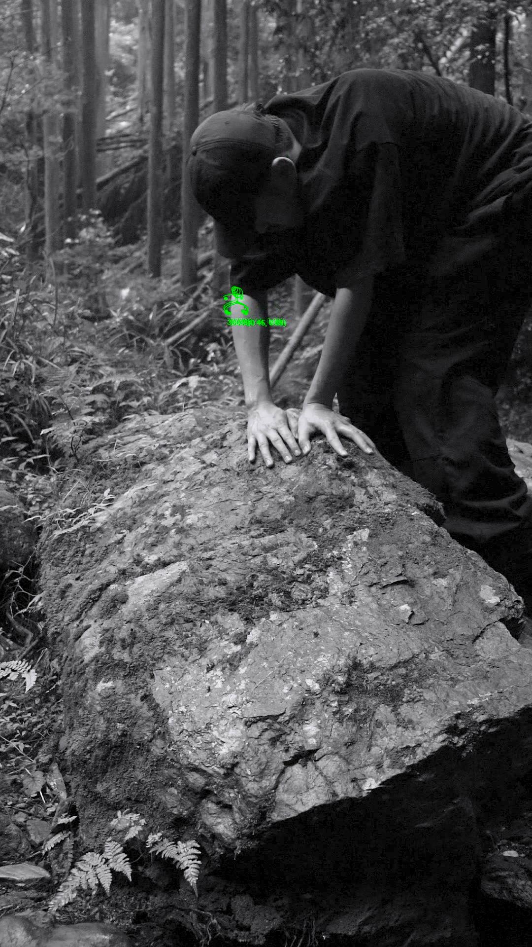 int main(){for(;;);} // osfp3-2