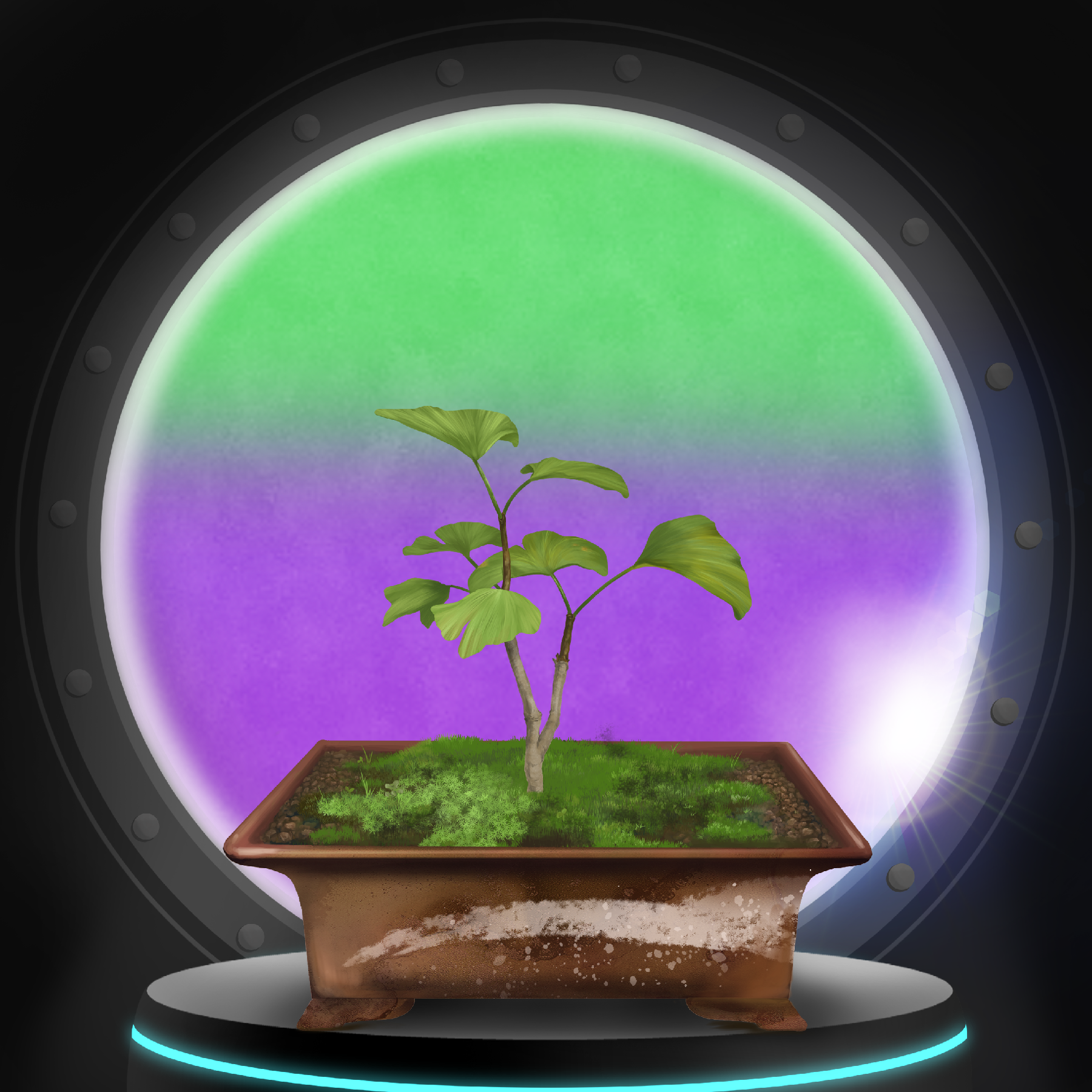 BONSAI NFT FARM #2725