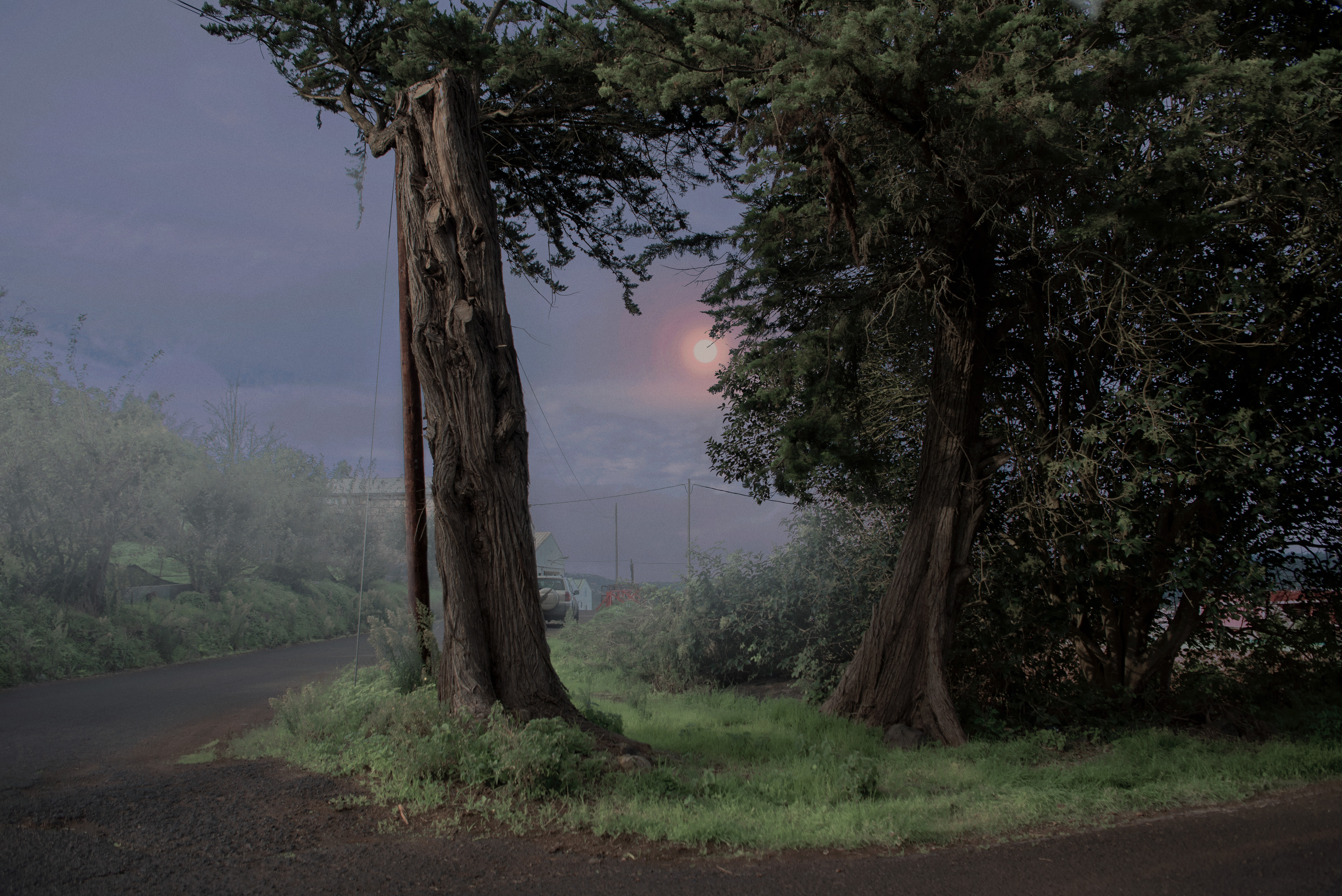 Morning Fog