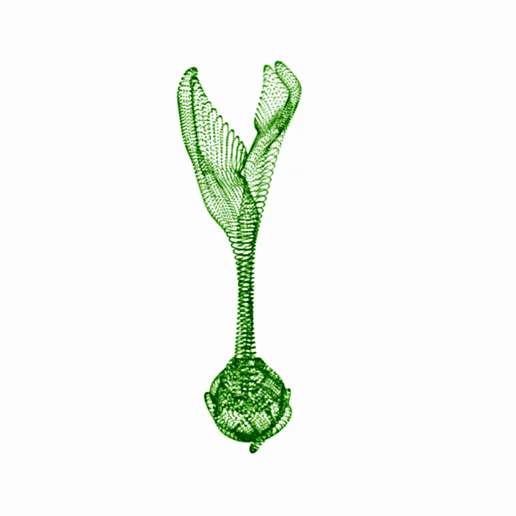 Internet-Native Samara Seed 2141