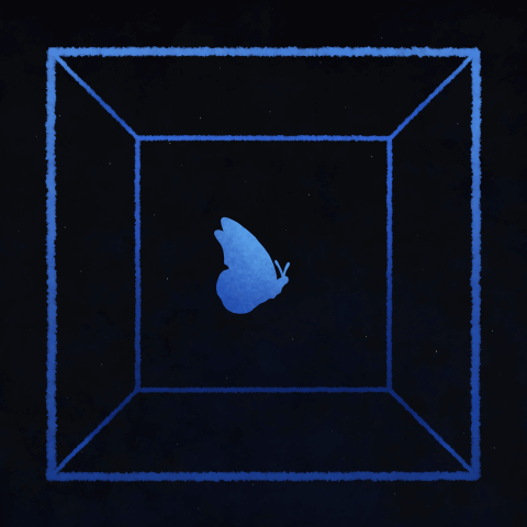 Flutter Into The Void