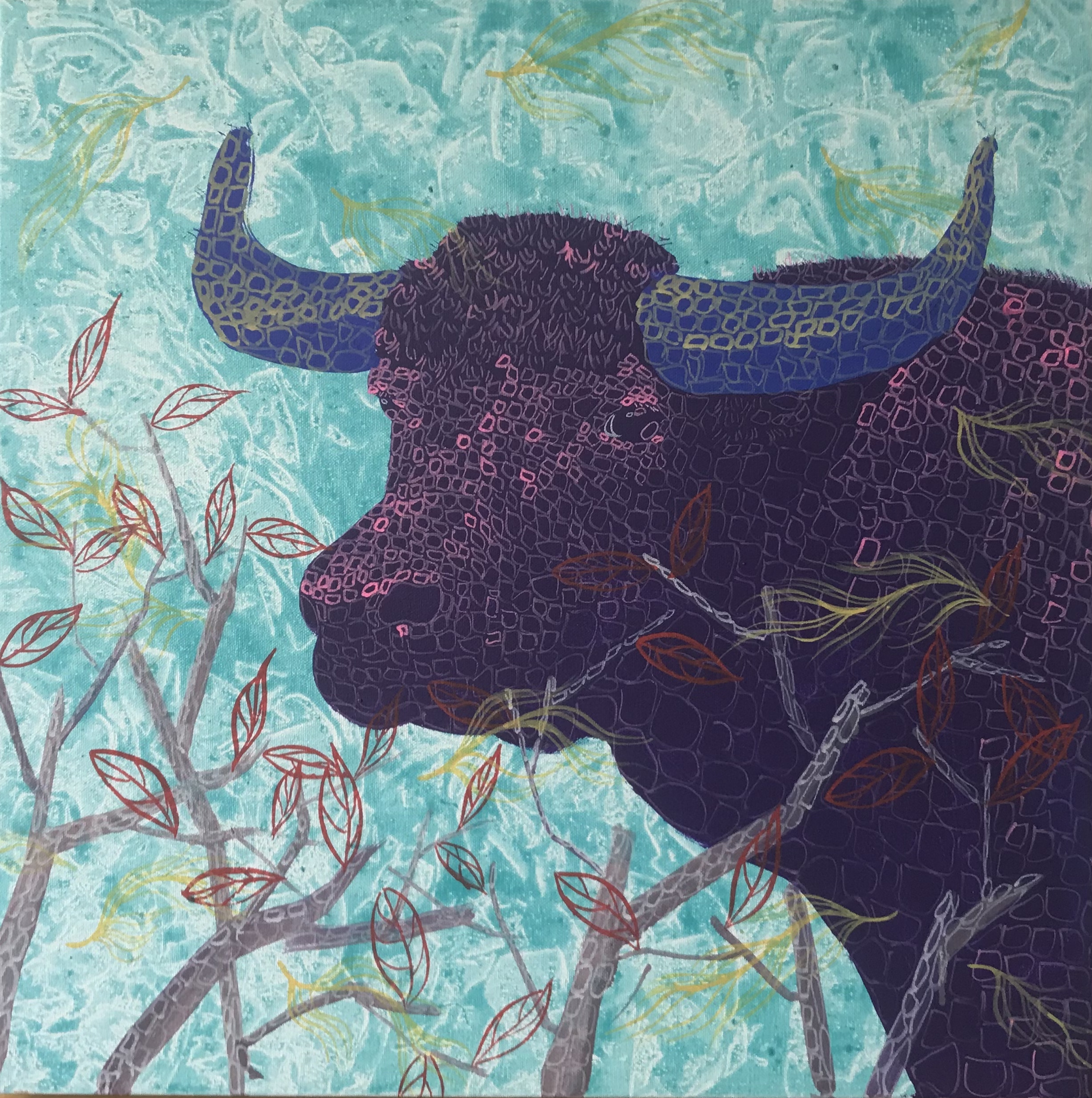 Cattle #12