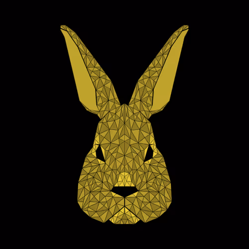 Poly Rabbit #PV015R