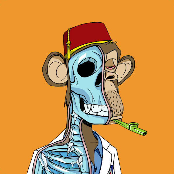 Anatomy Science Ape Club #2097