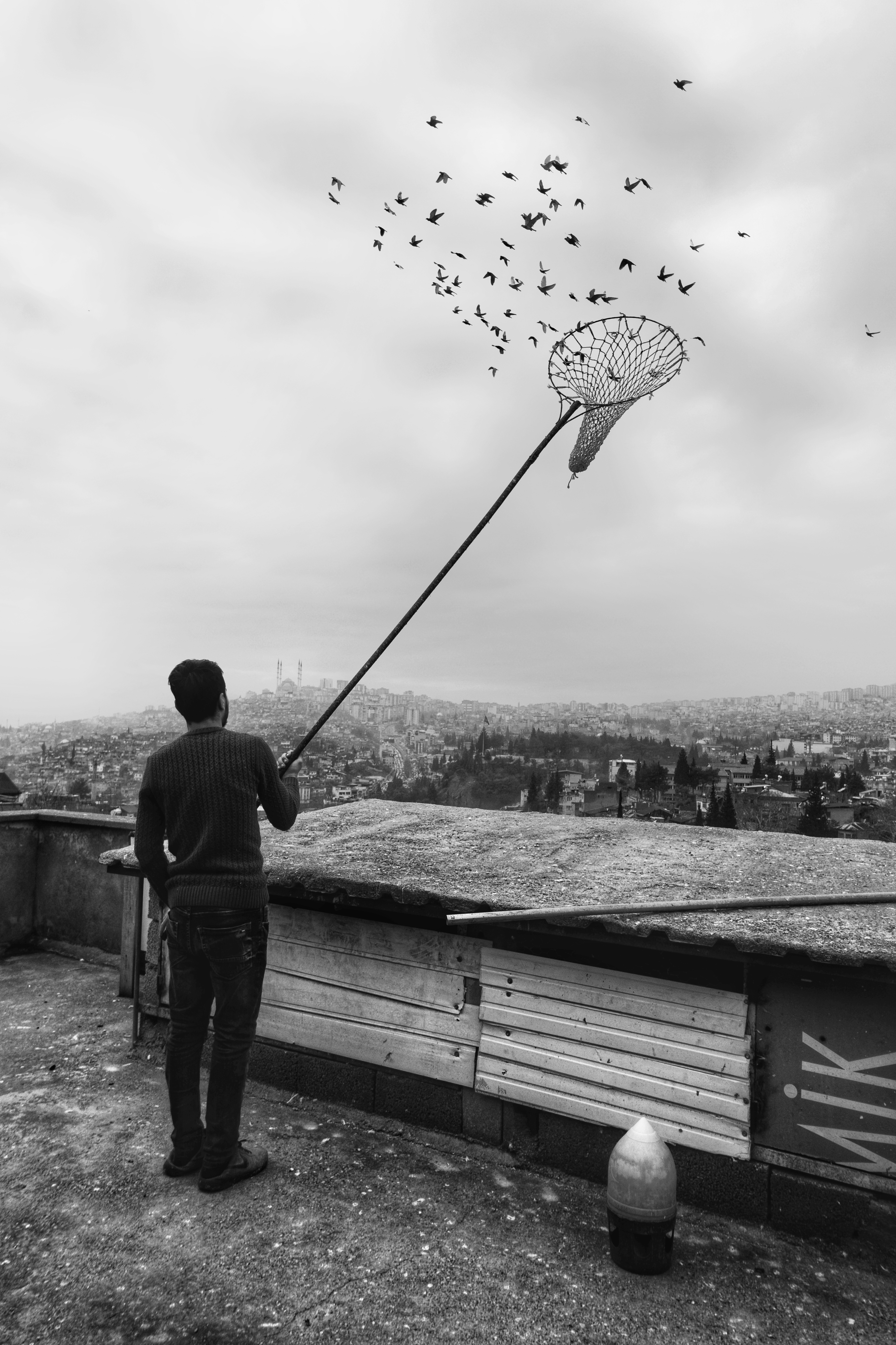 Freedom
