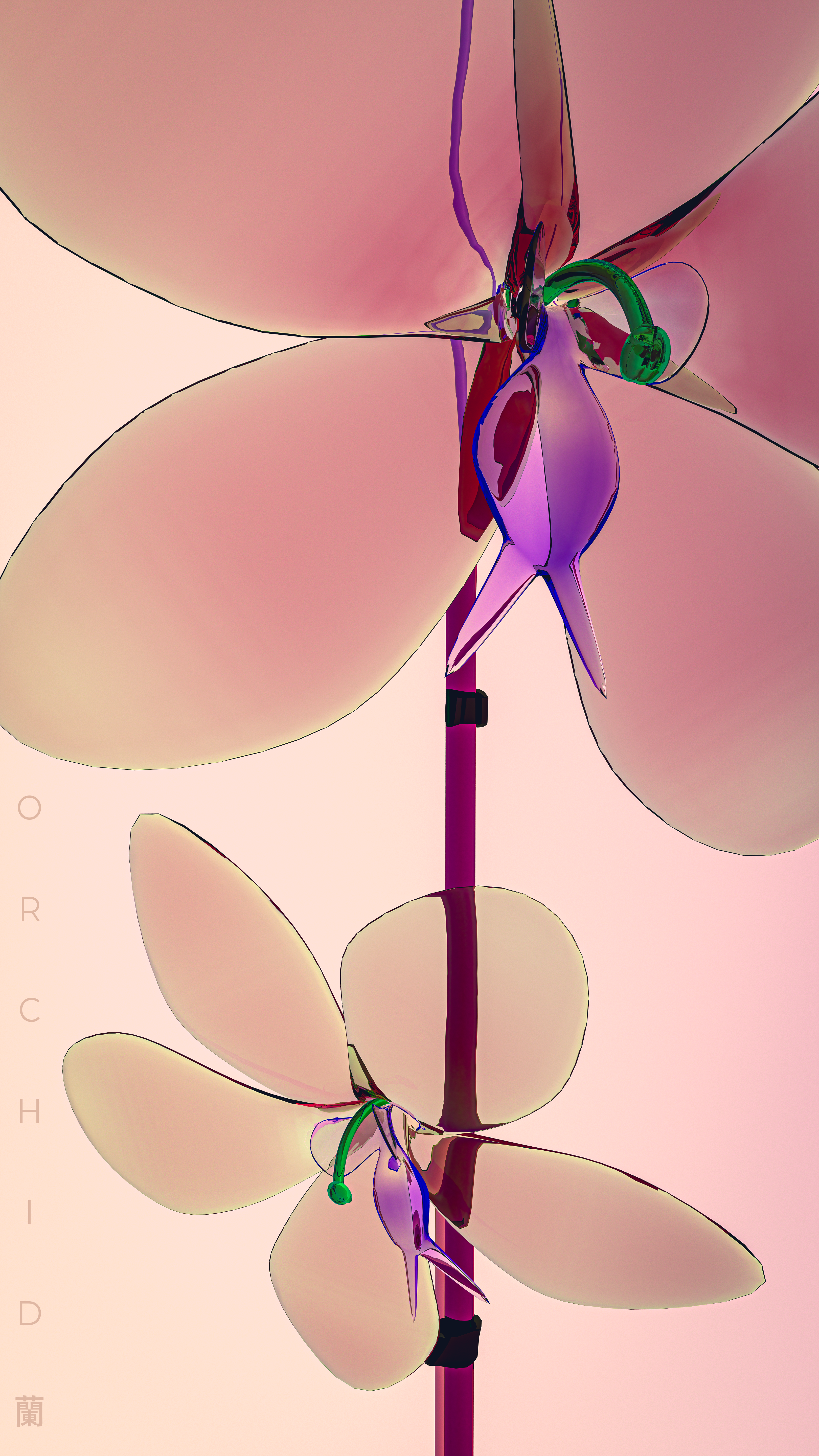 Orchid - 蘭 (WHALE Member's Edition) #10/20