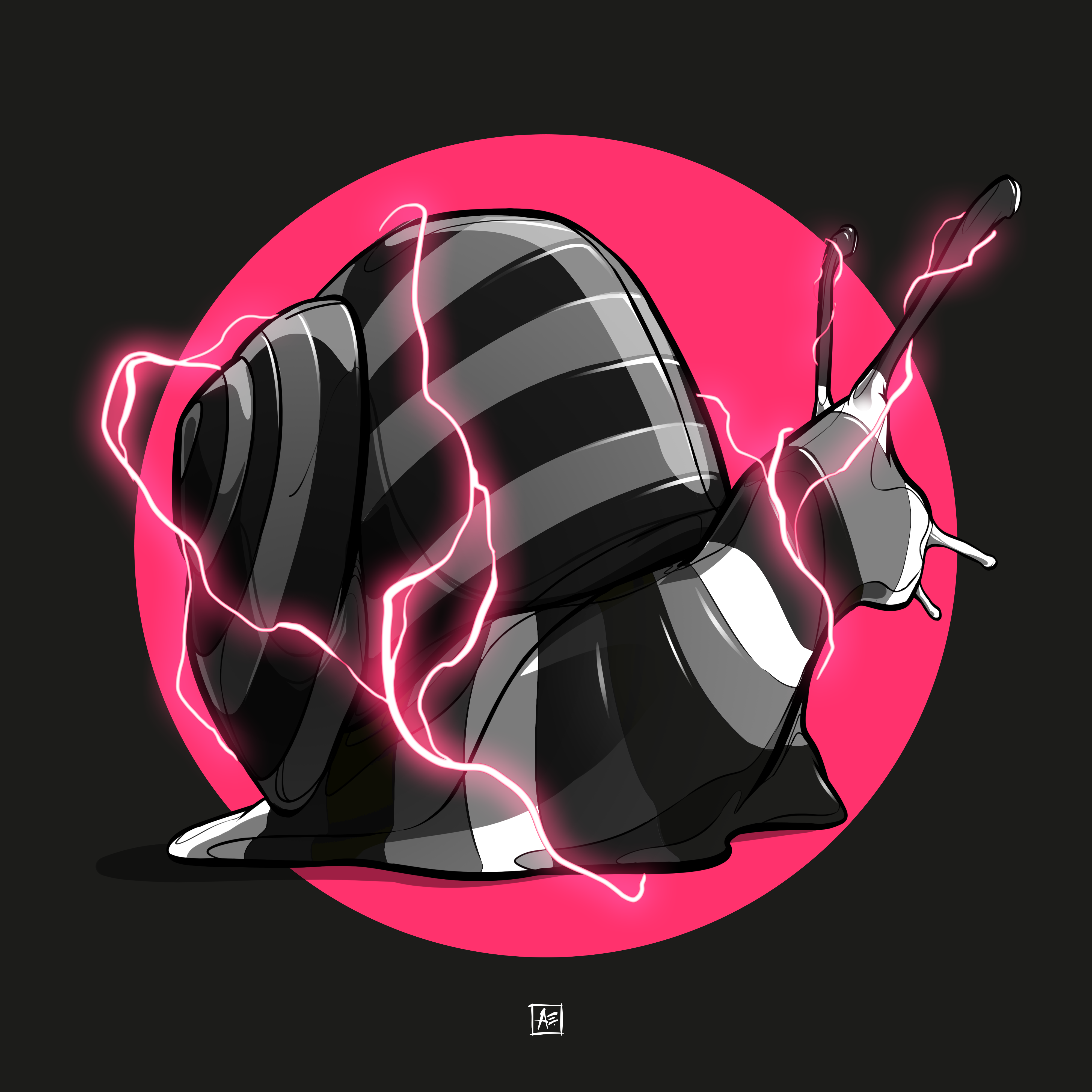 Snail