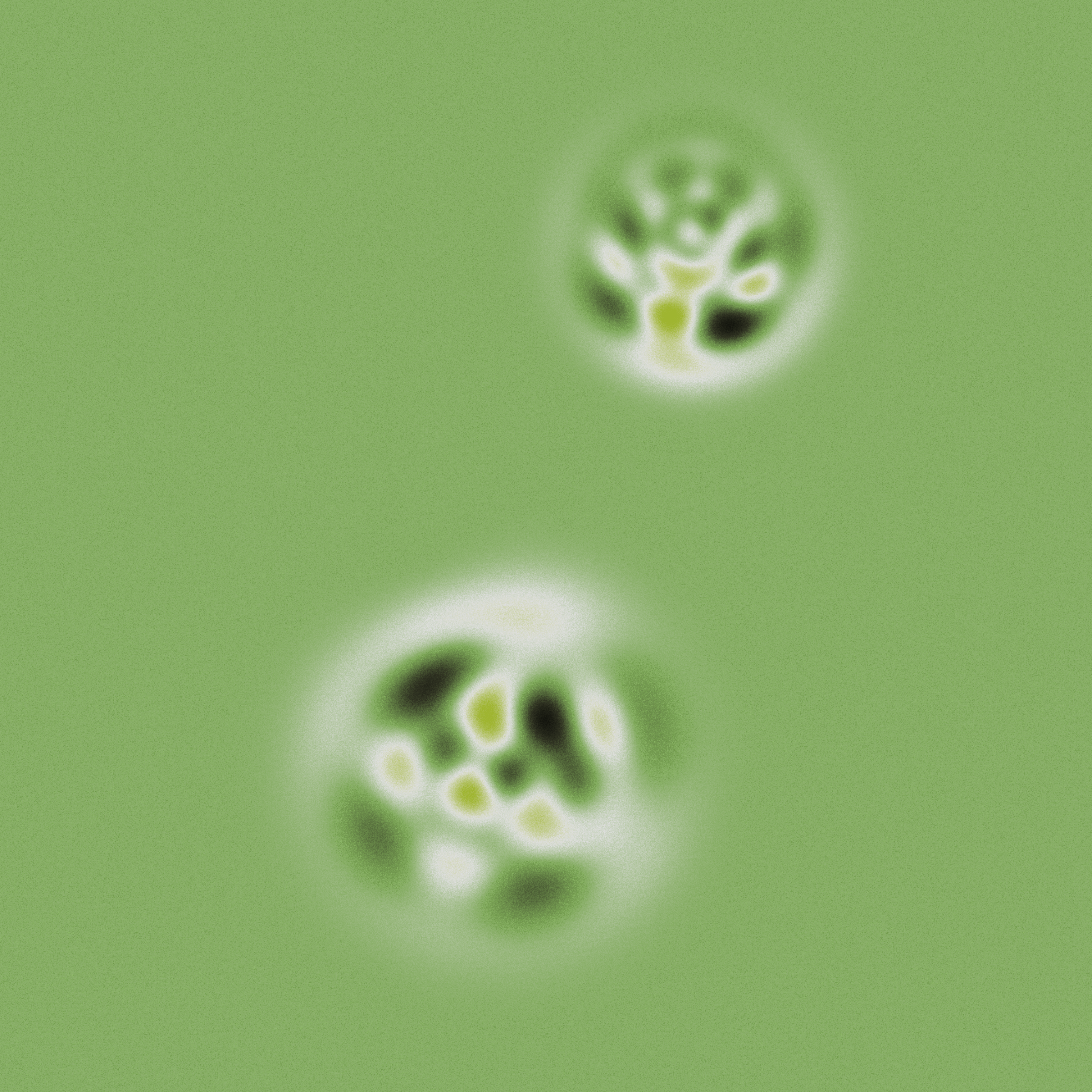 Quantum Collapses #169