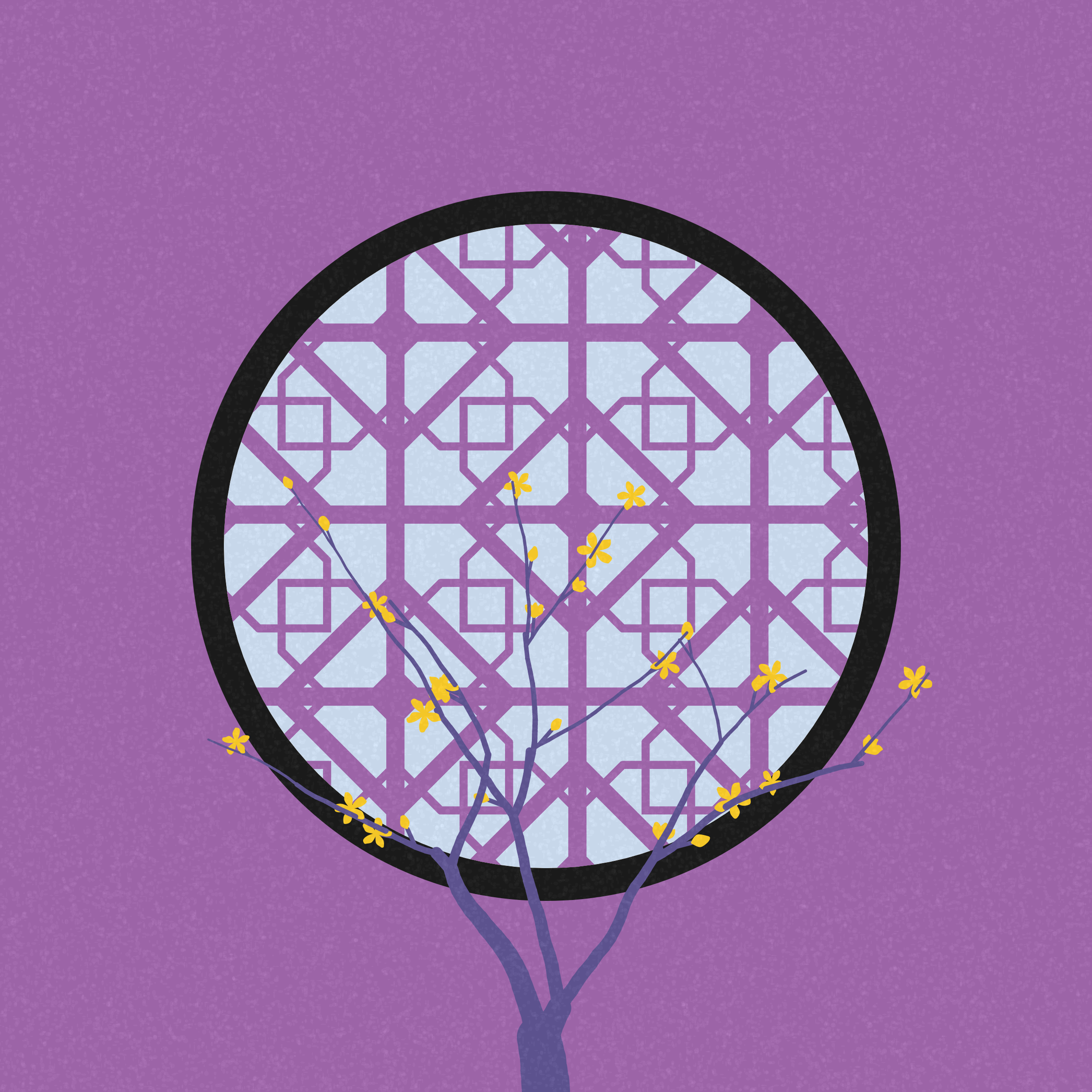 Through the Window #494