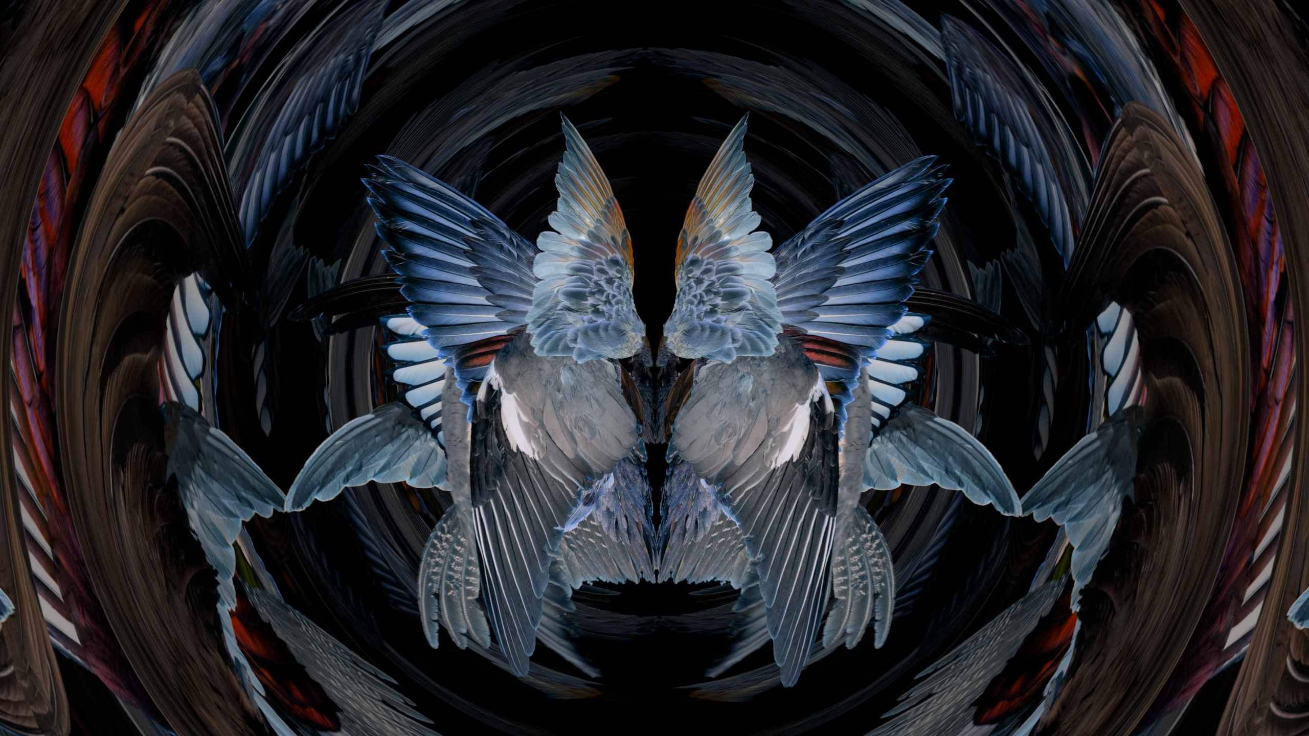 Fuga delle Sirene XXIII