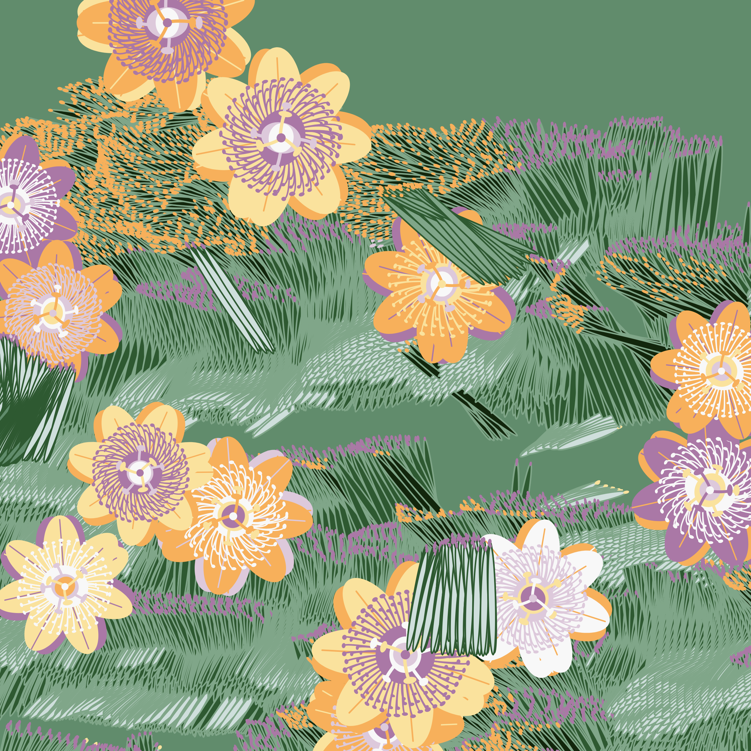 Fragments of an Infinite Field #237