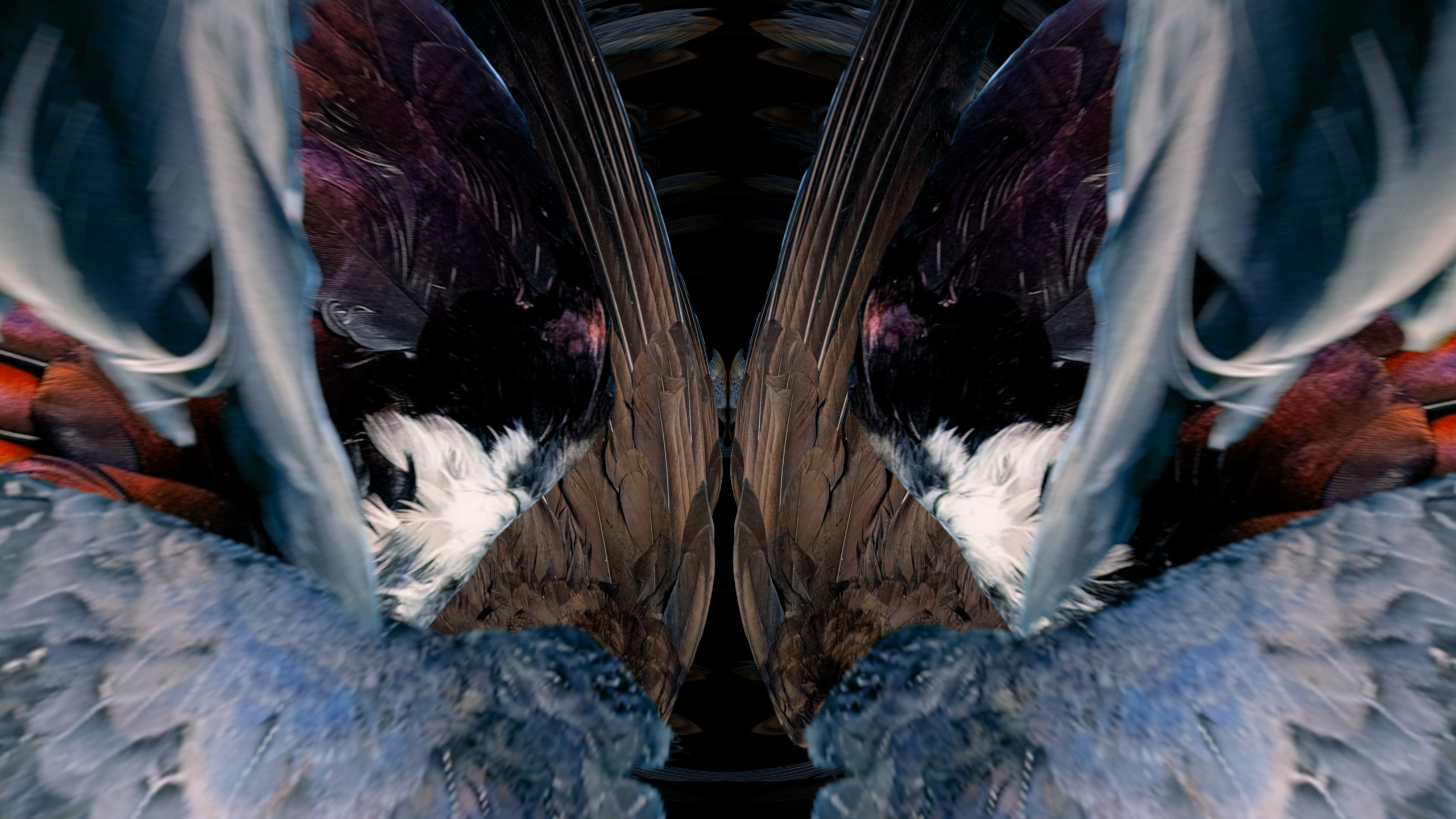 Fuga delle Sirene XXXIII