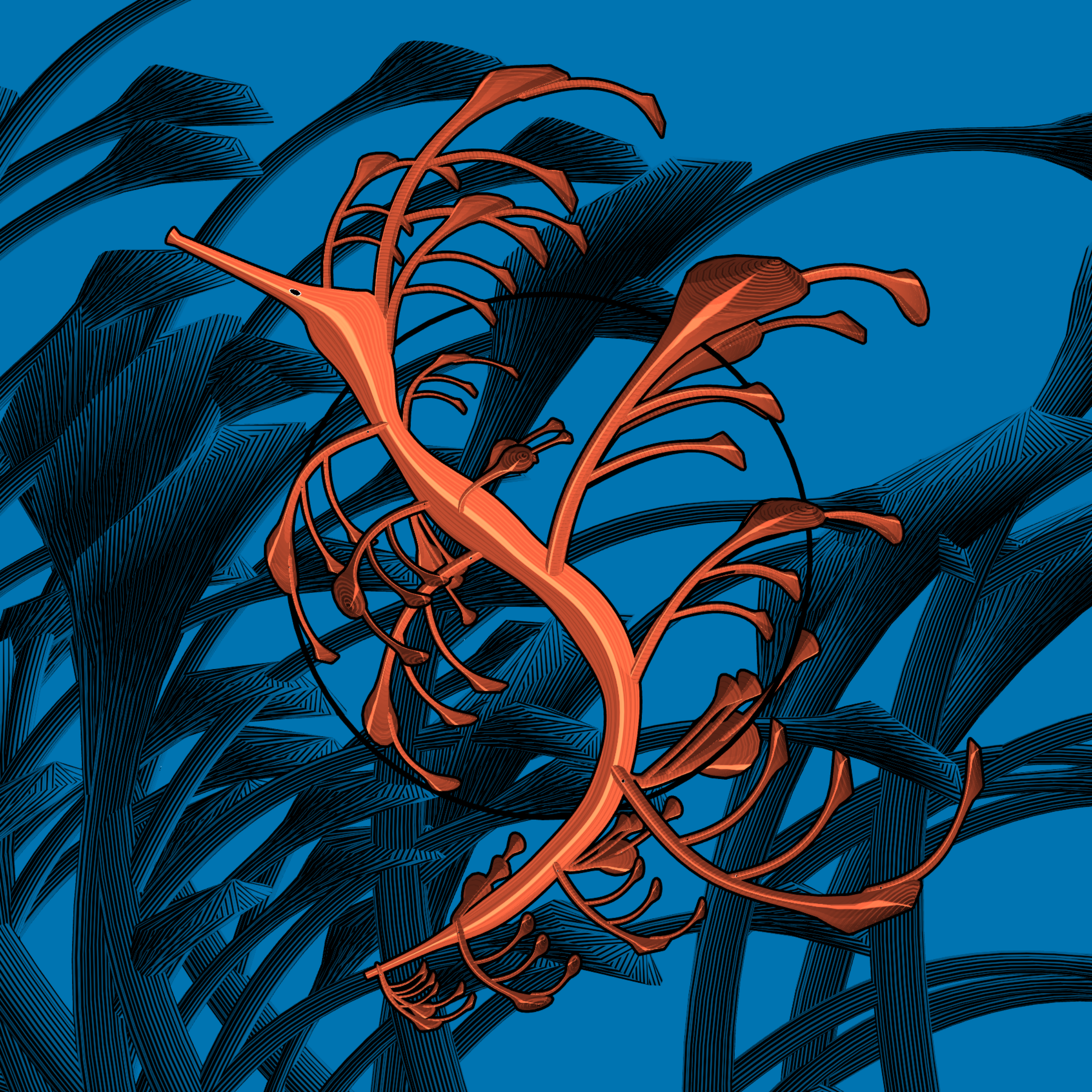 Seadragons #635