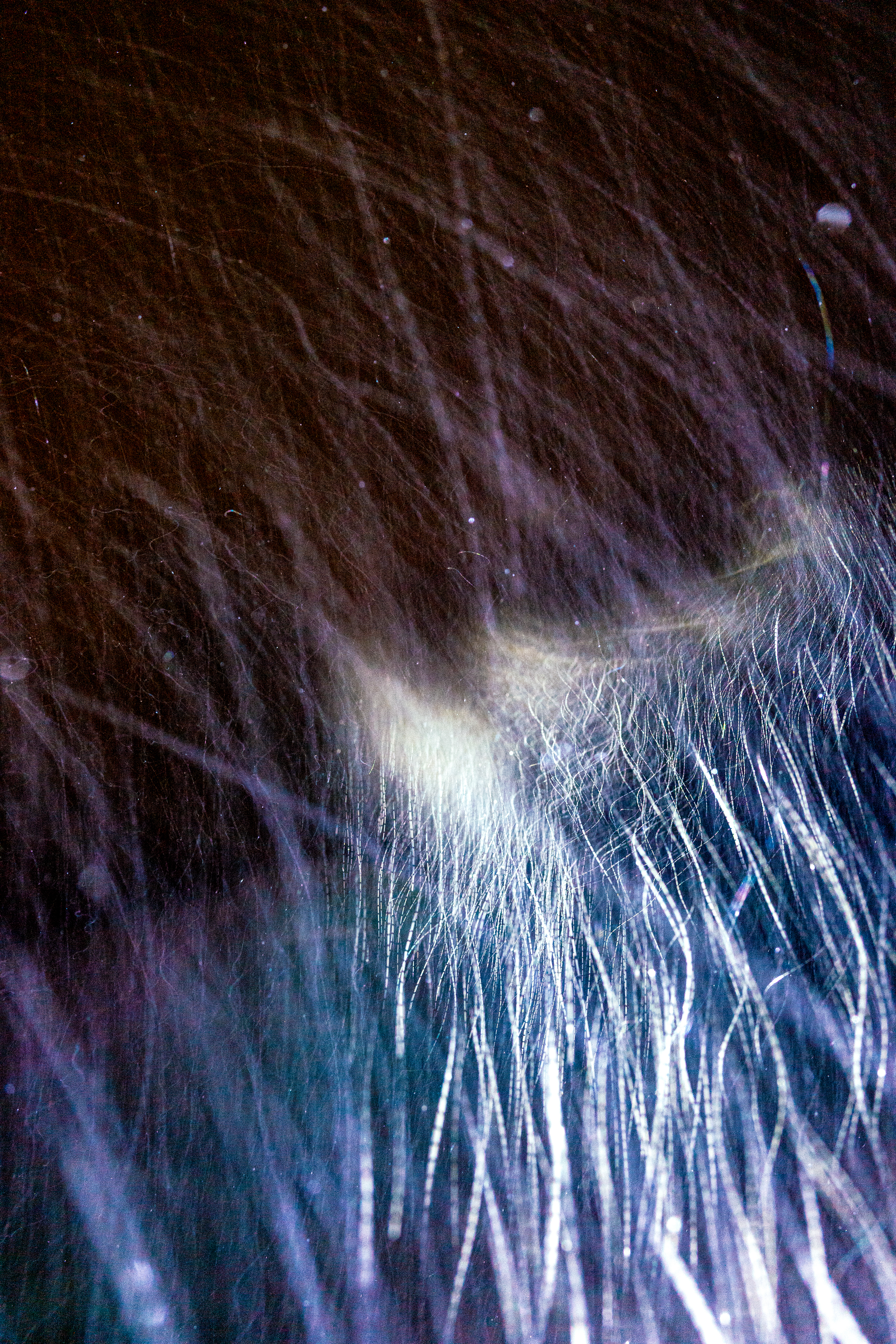 L1210381 : An omen of the skies