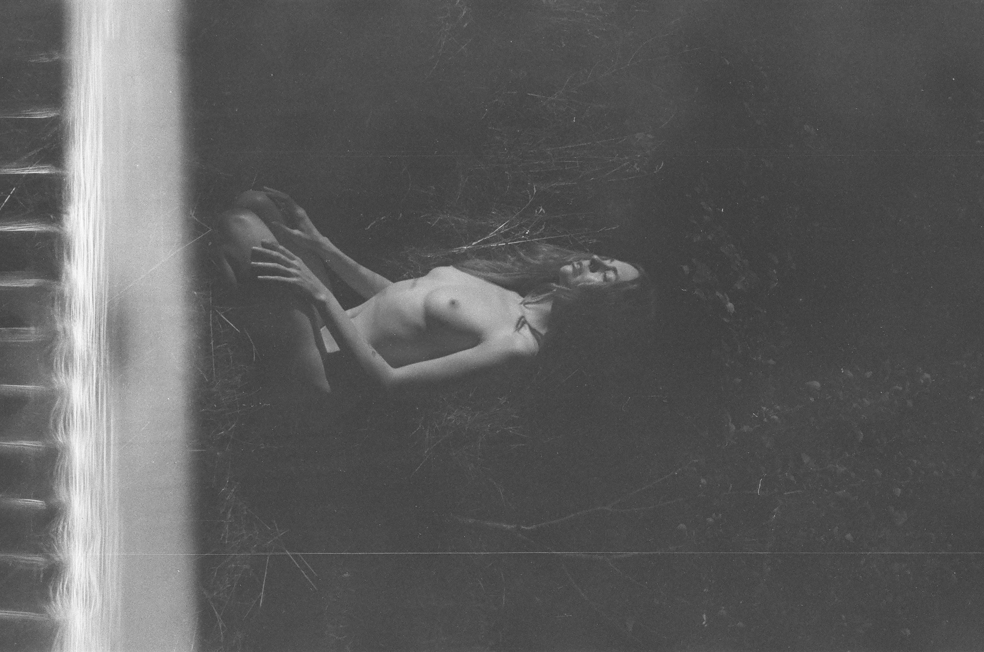 Morning in the forest 🌿