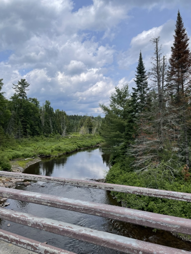 CS Community Collection #272